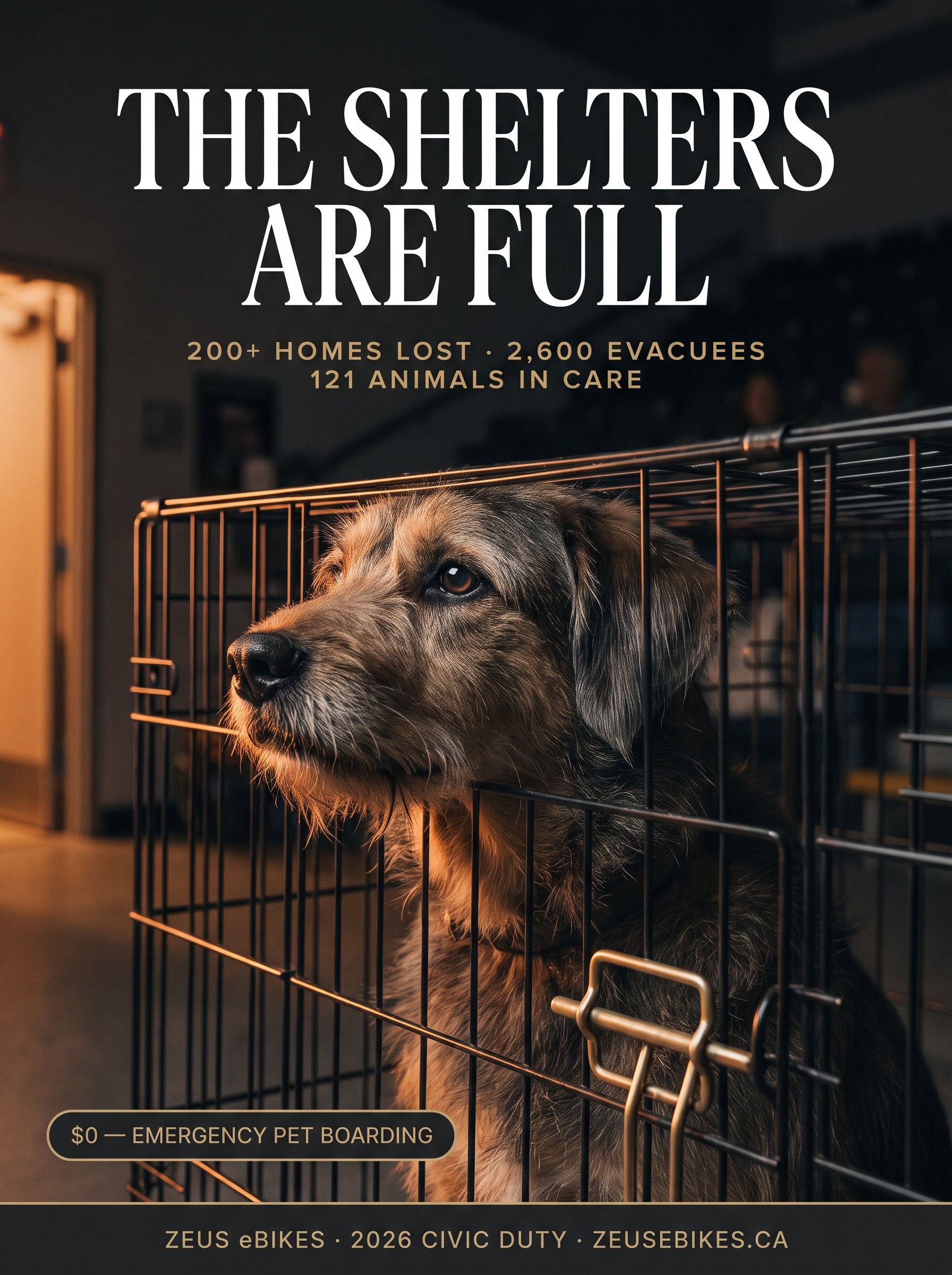 Magazine-style cover portrait: a dog behind the wire of an emergency crate in wildfire-smoke light — photo illustration created with Playcut AI