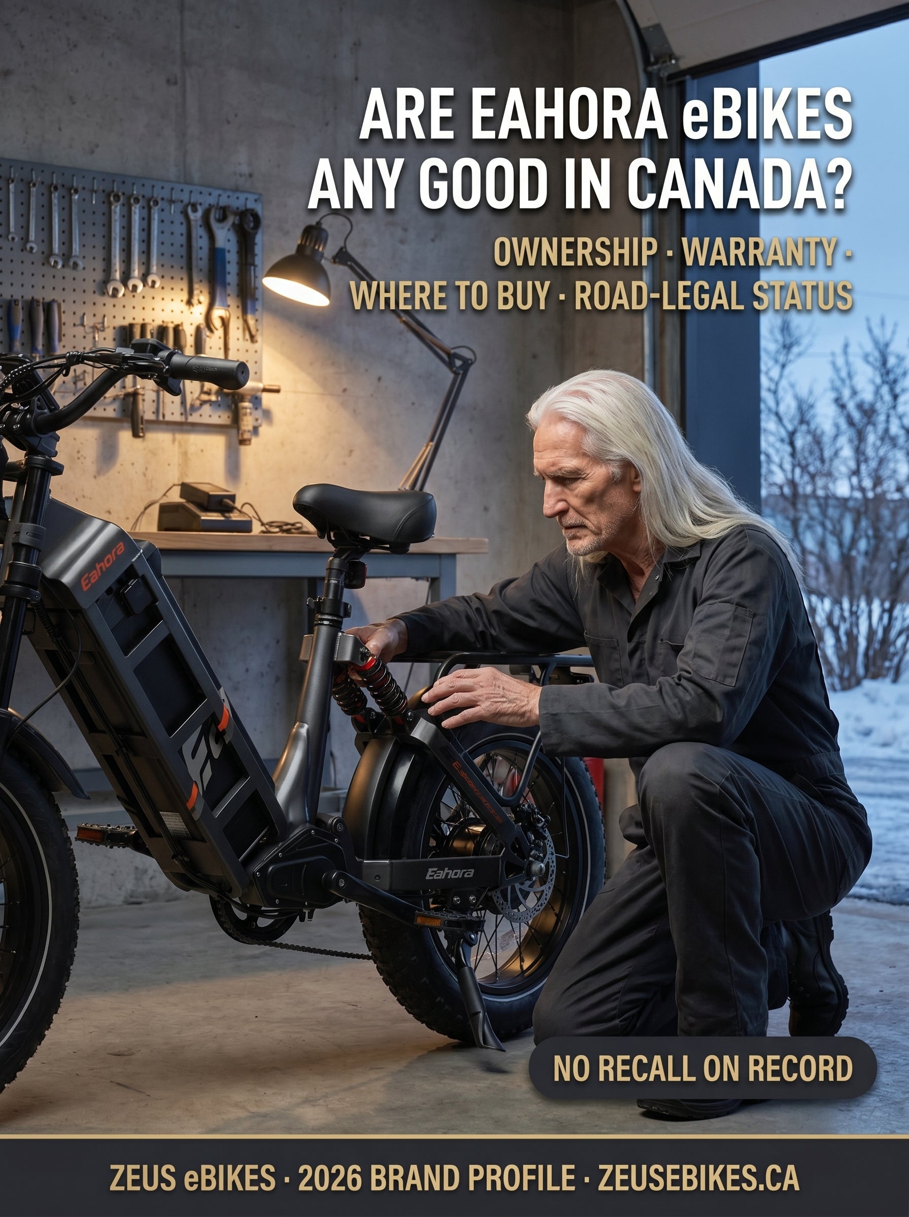 Zeus eBikes verified brand profile of eAhora eBikes Canada 2026 — are eAhora eBikes any good? Warranty, road-legal status, no recall on record