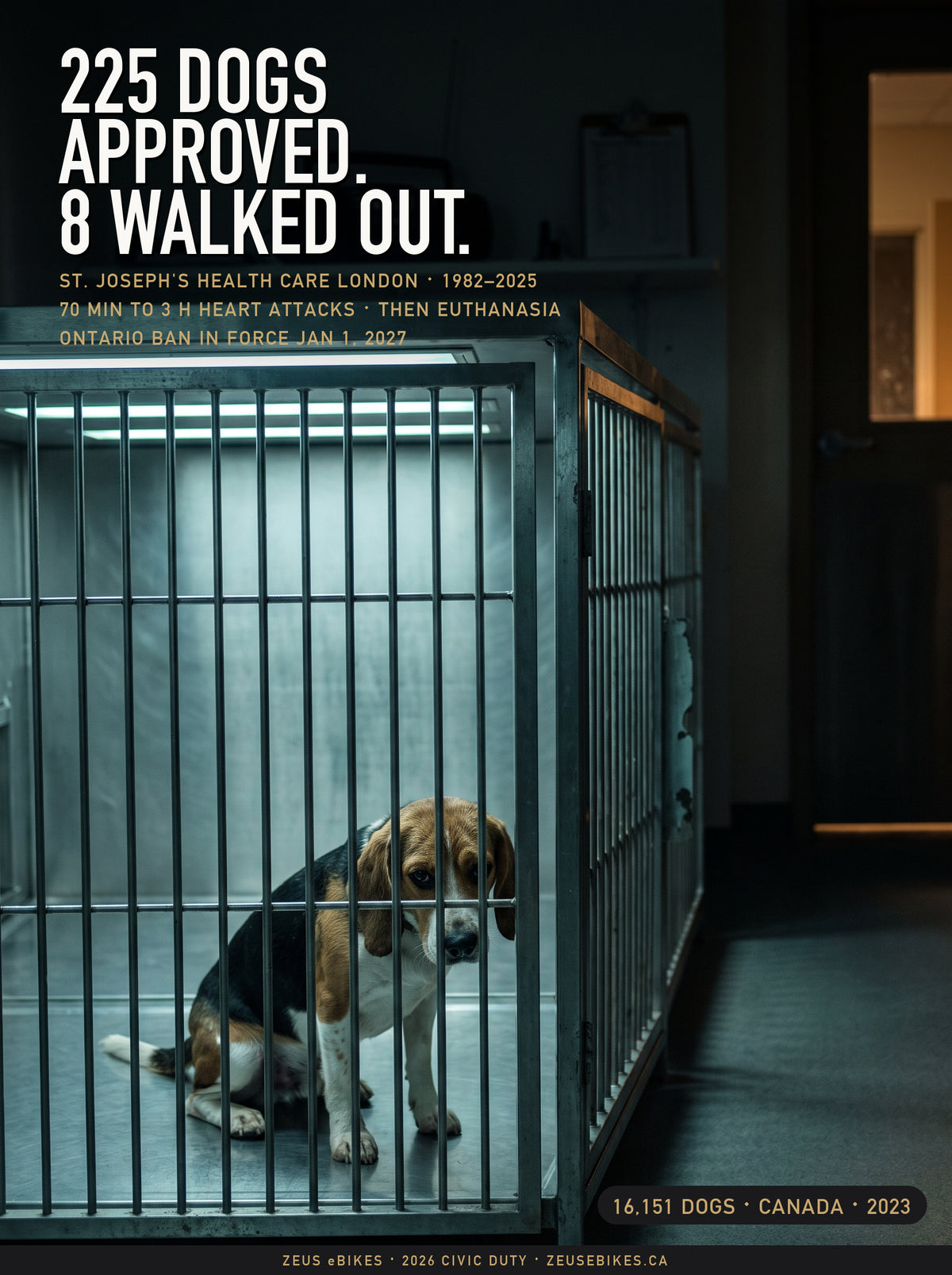 Photo illustration: a young beagle alone in a bare steel kennel in a hospital corridor, under the cover line 225 dogs approved, 8 walked out