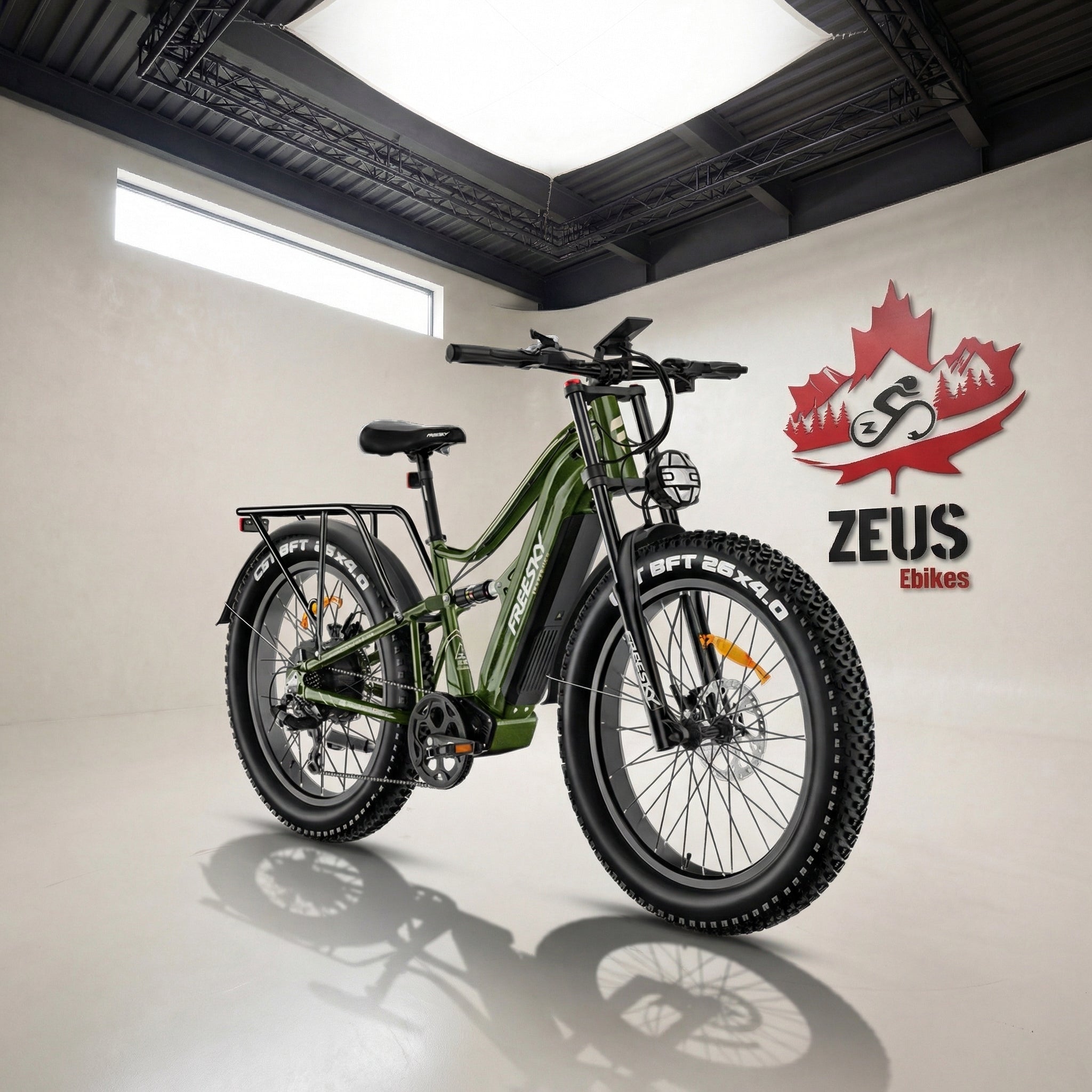 Freesky Electric Bikes