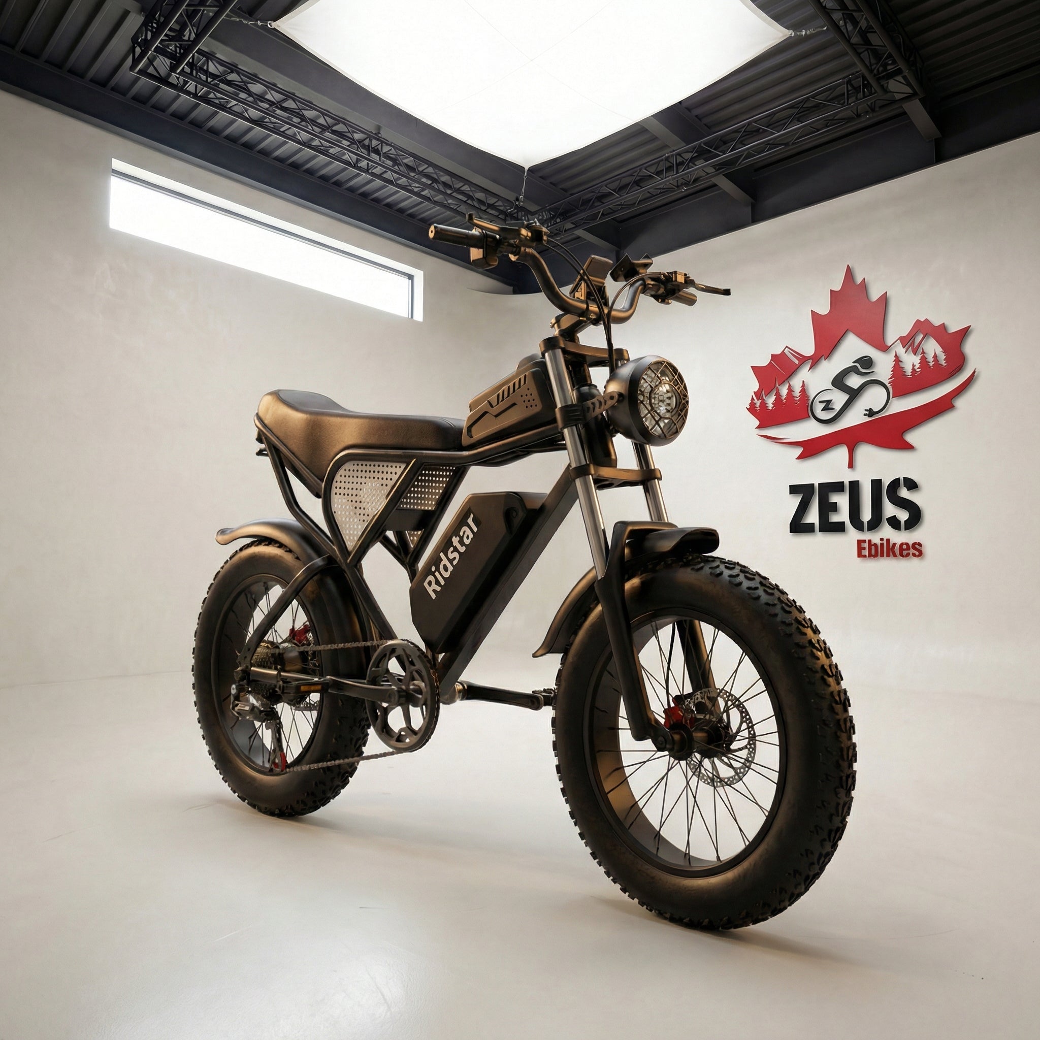 Ridstar Q20 — 1500W Fat Tire Retro eBike (48V 20Ah, Full Suspension)