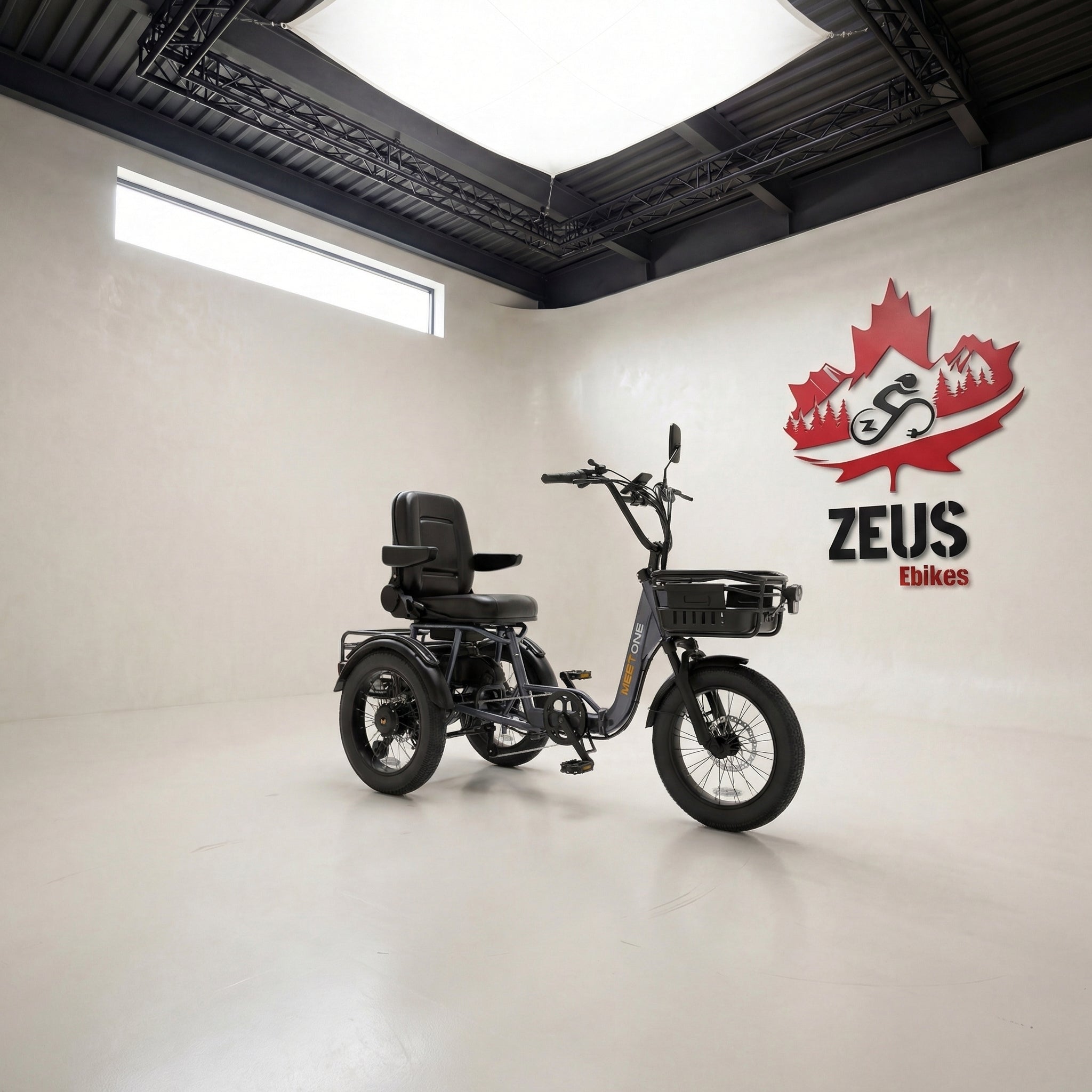 Meet One Breeze Pro Fat Tire Electric Trike — 90 Nm | Zeus eBikes