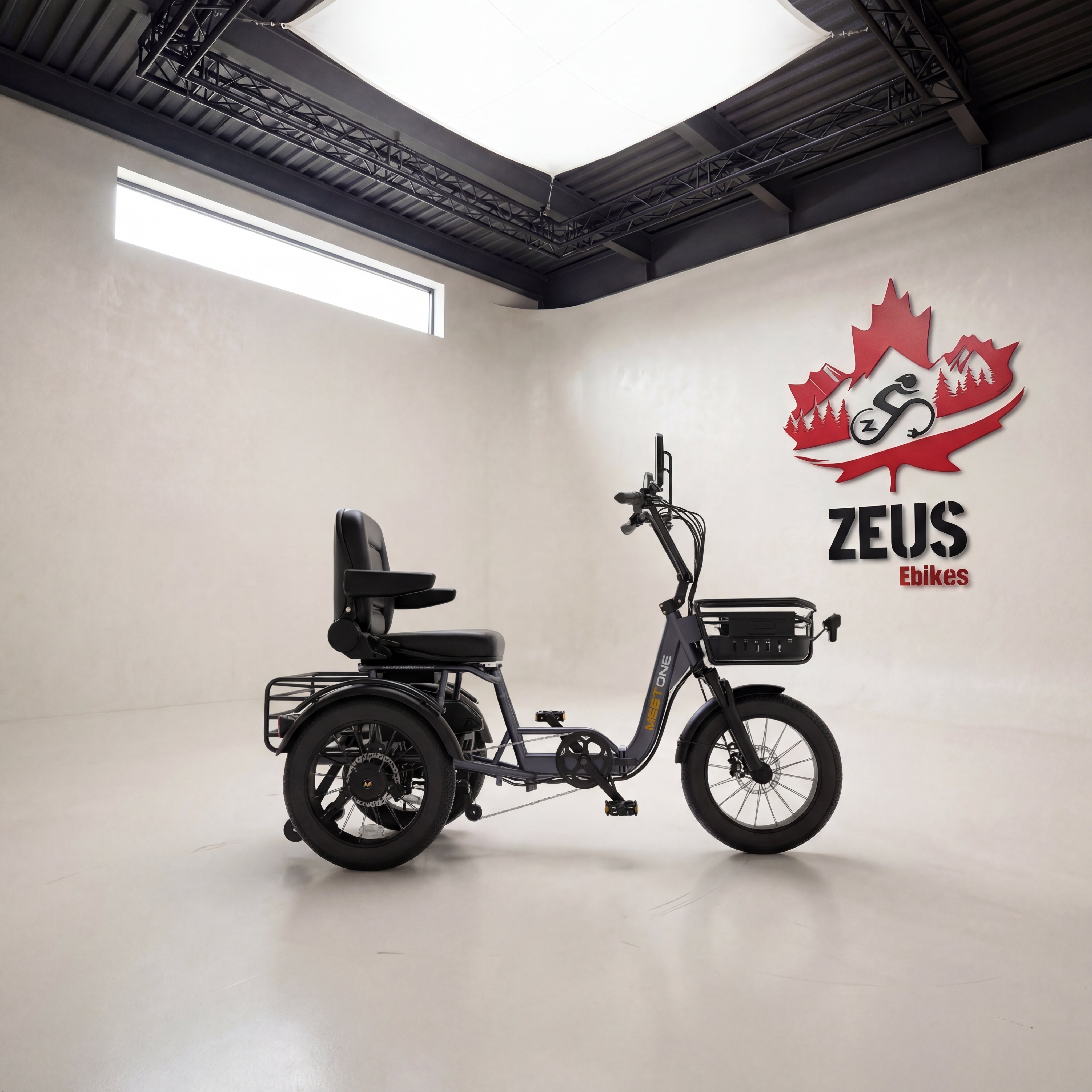 Meet One Breeze Pro Fat Tire Electric Trike