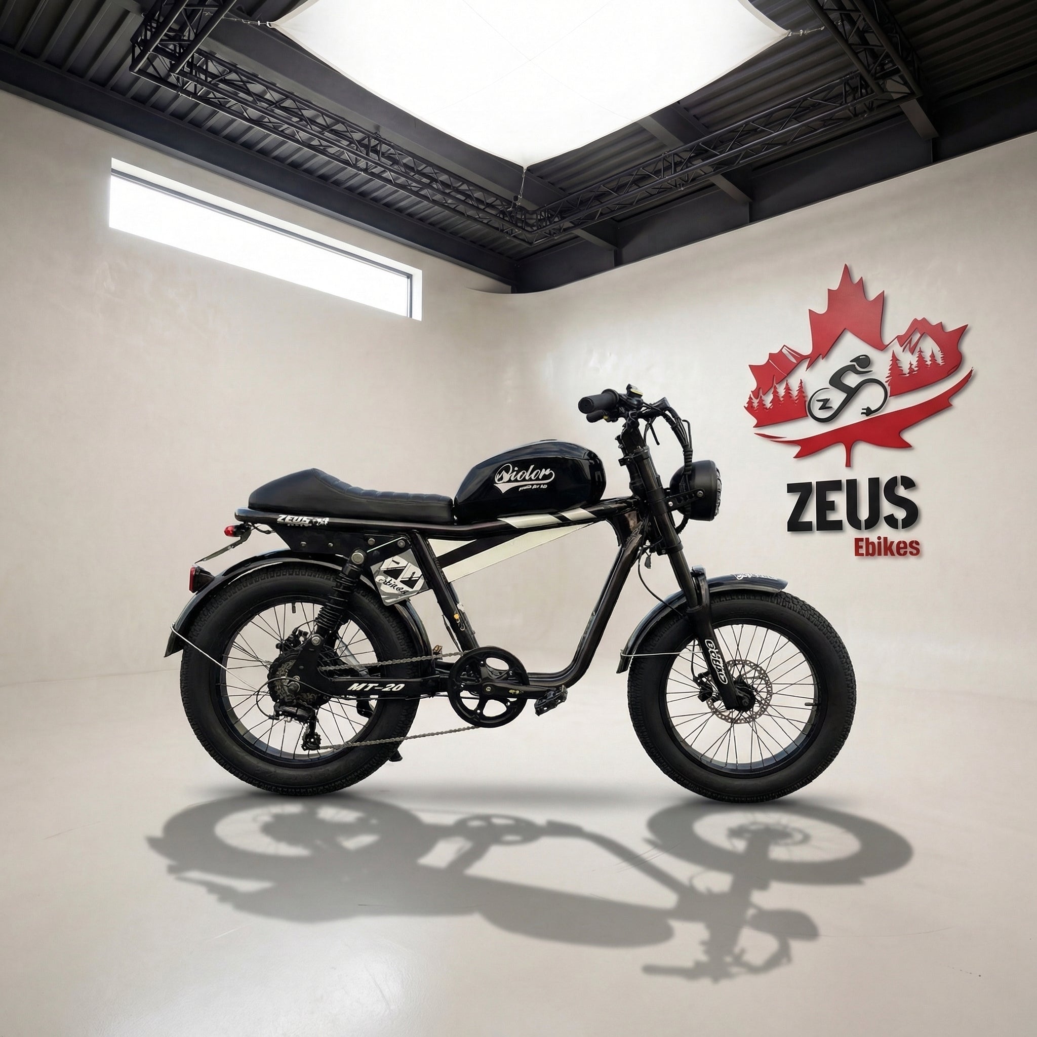 Vtuvia Tiger Retro Ebike