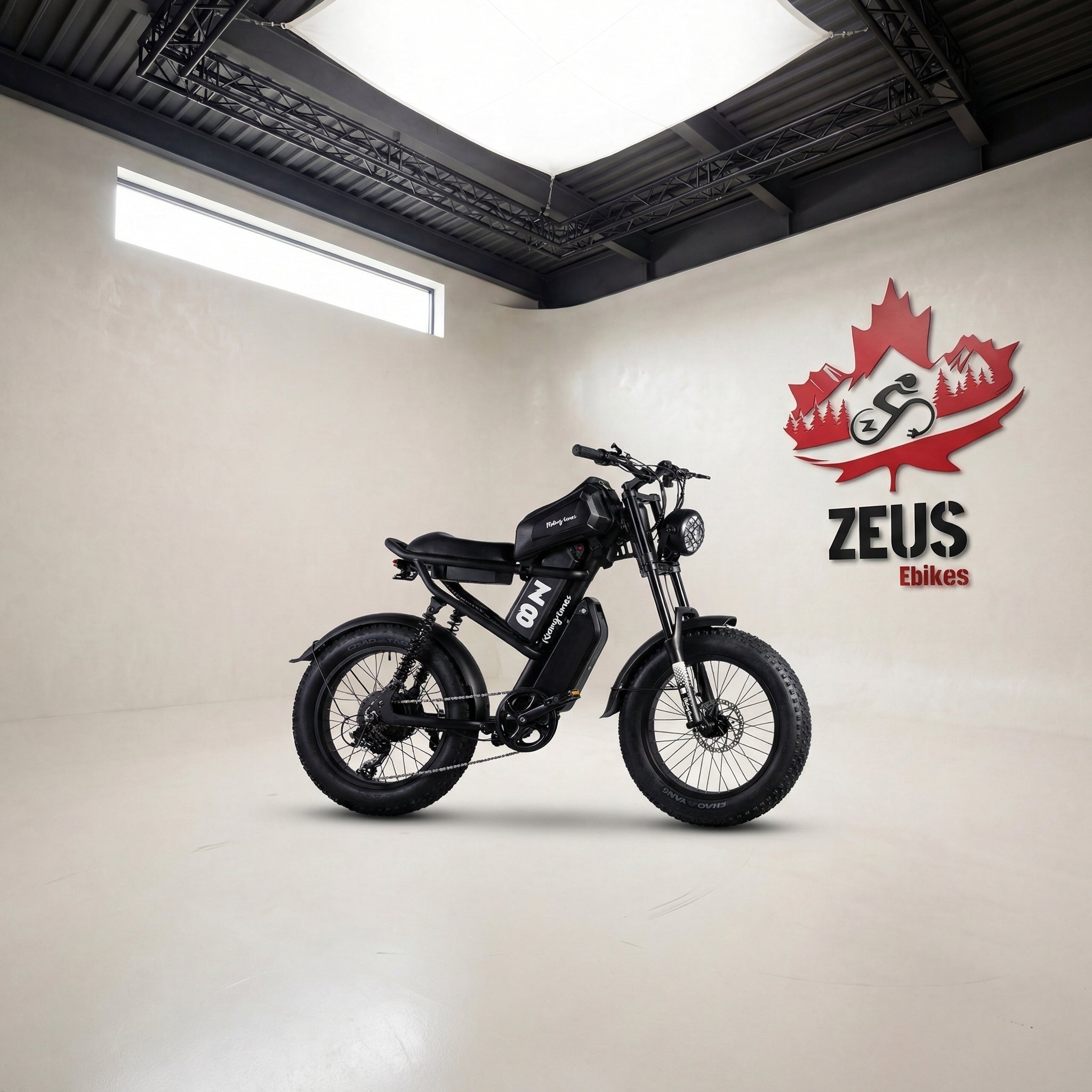 Z8 Moped-Style Electric Bike (Z8 / Z8S / Z8 Pro)