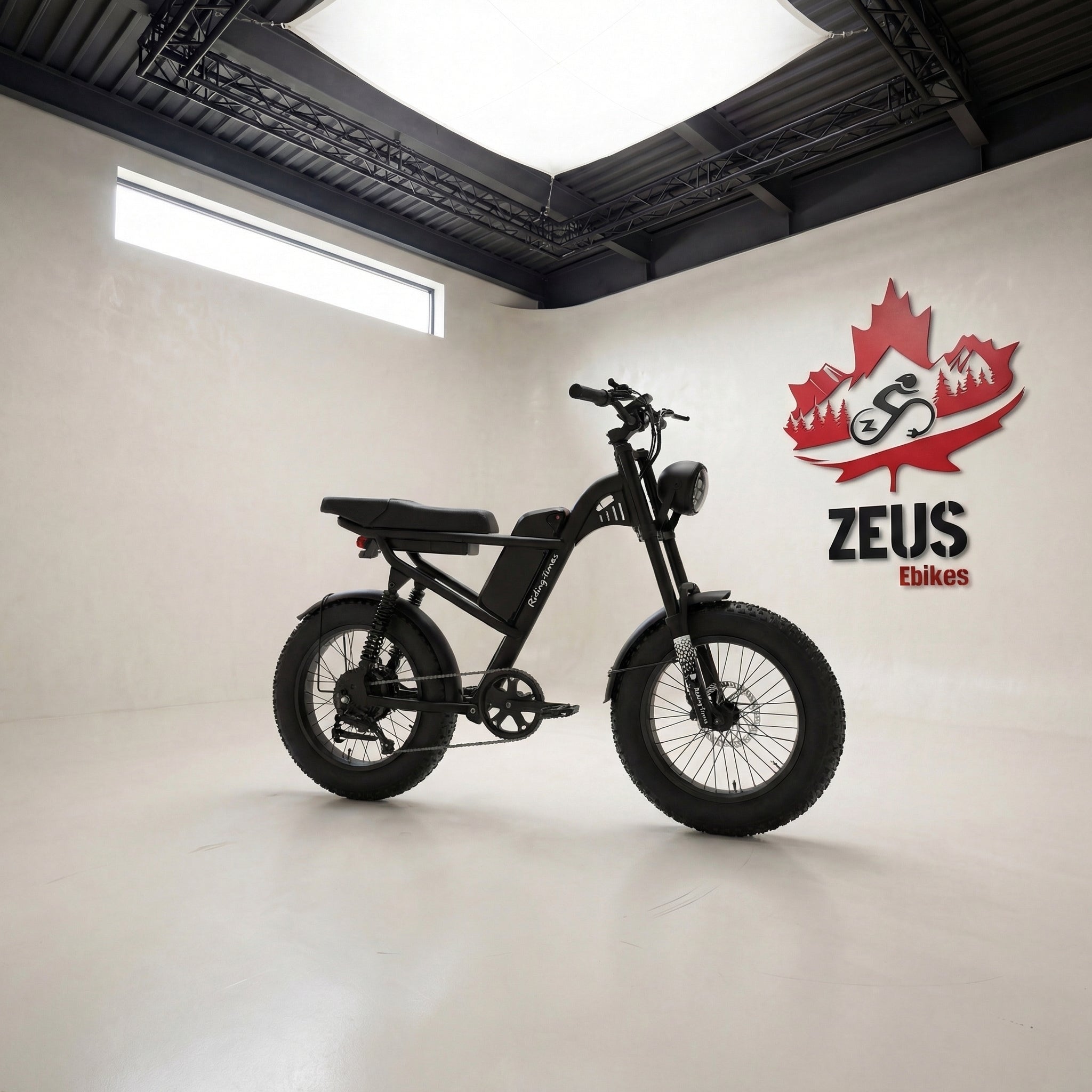 Z8 Moped-Style Electric Bike (Z8 / Z8S / Z8 Pro)