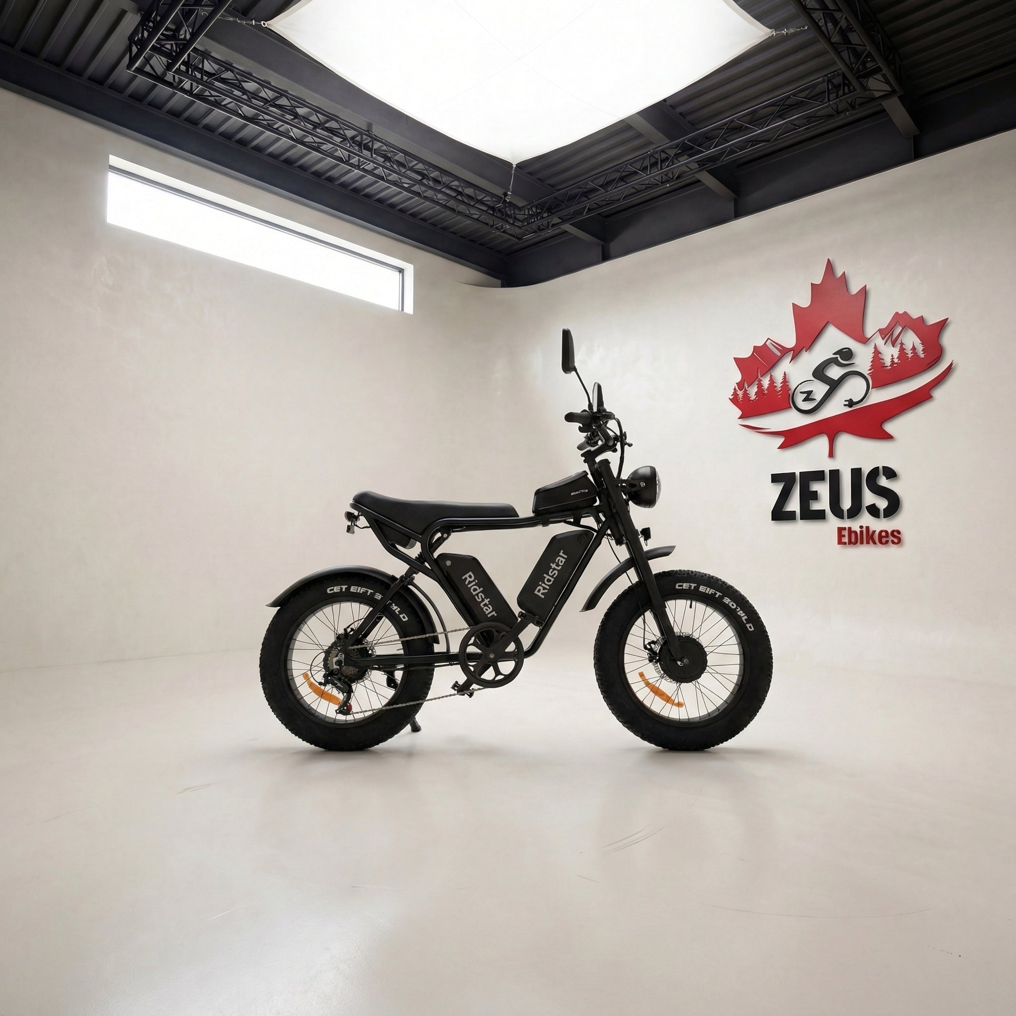 Ridstar Q20 Pro Dual Motor 2000W Retro Ebike