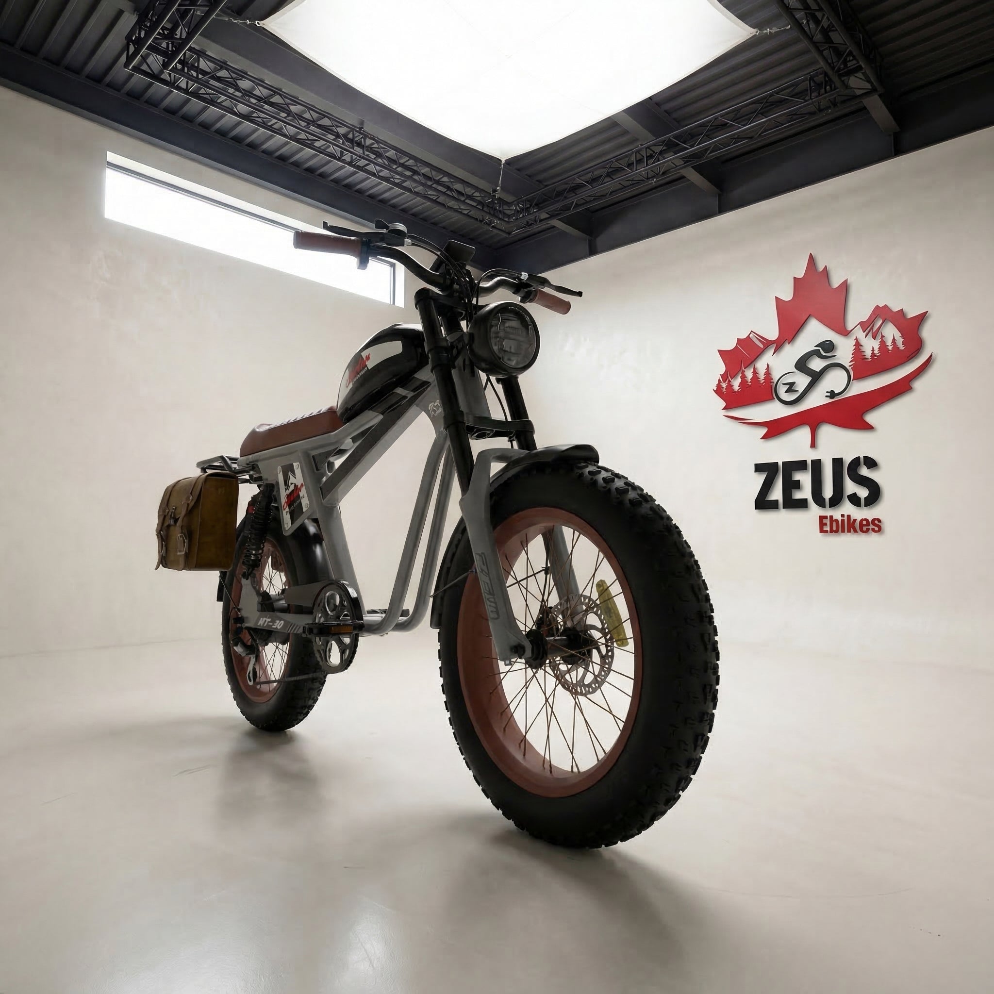 Vtuvia TIGER PLUS Full Suspension Fat Tire Ebike