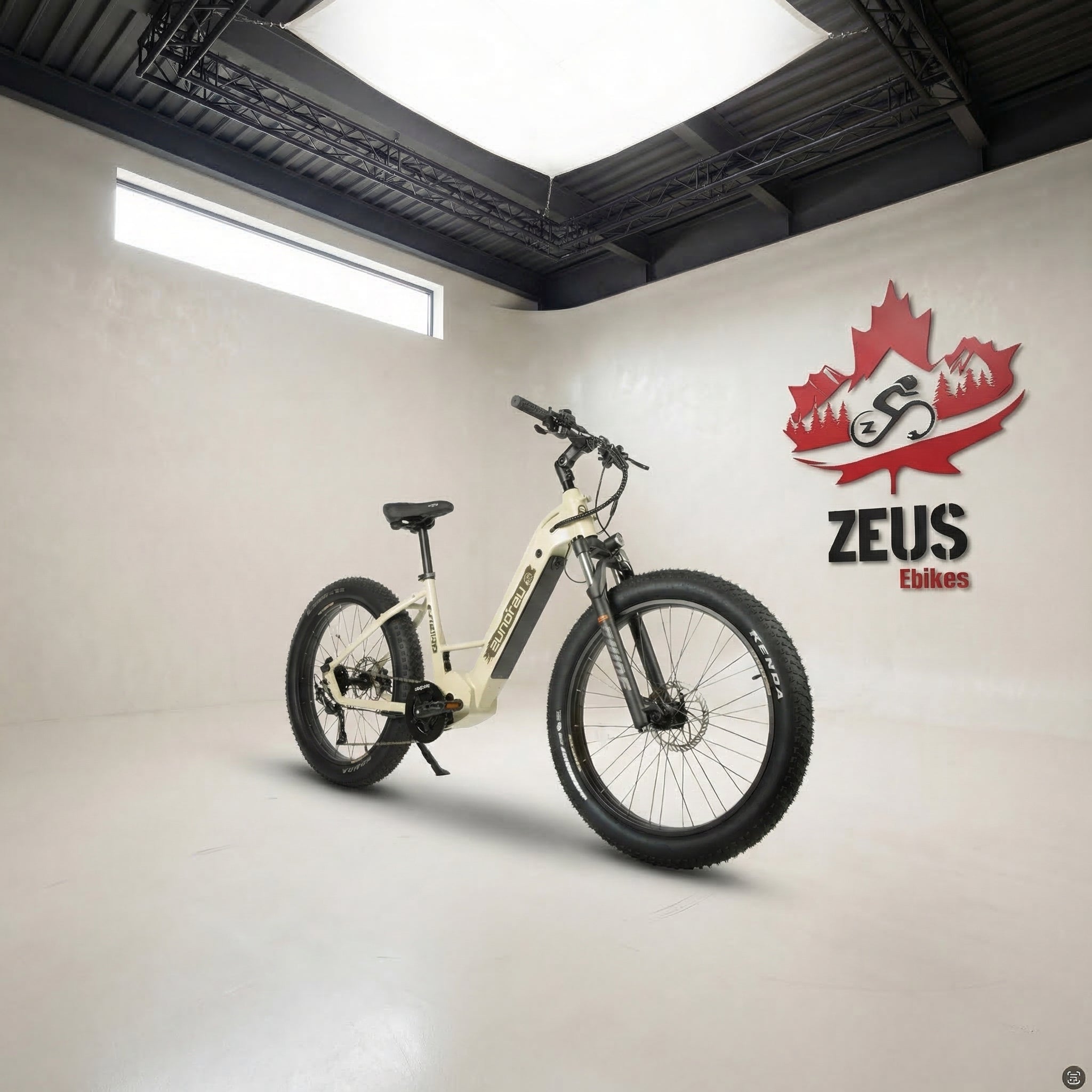 Eunorau FAT-HD 2.0 / Hunter X7 — 1000W Mid-Drive Fat Tire Electric Mountain Bike