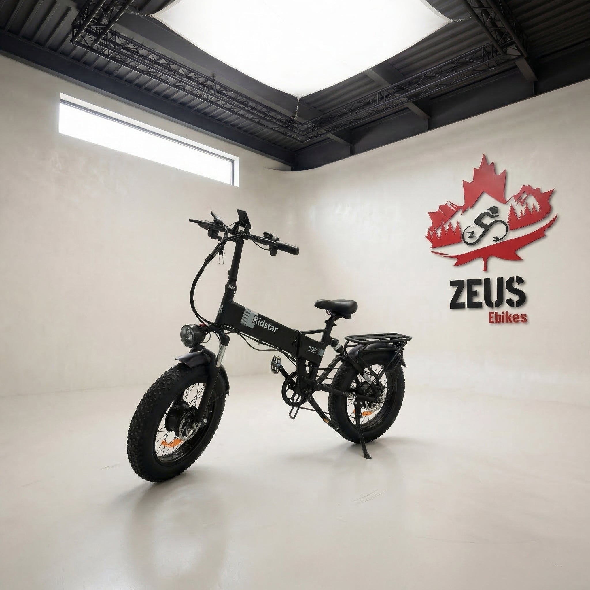 Ridstar H20 Pro Folding Ebike 1000W – Zeus Ebikes Canada