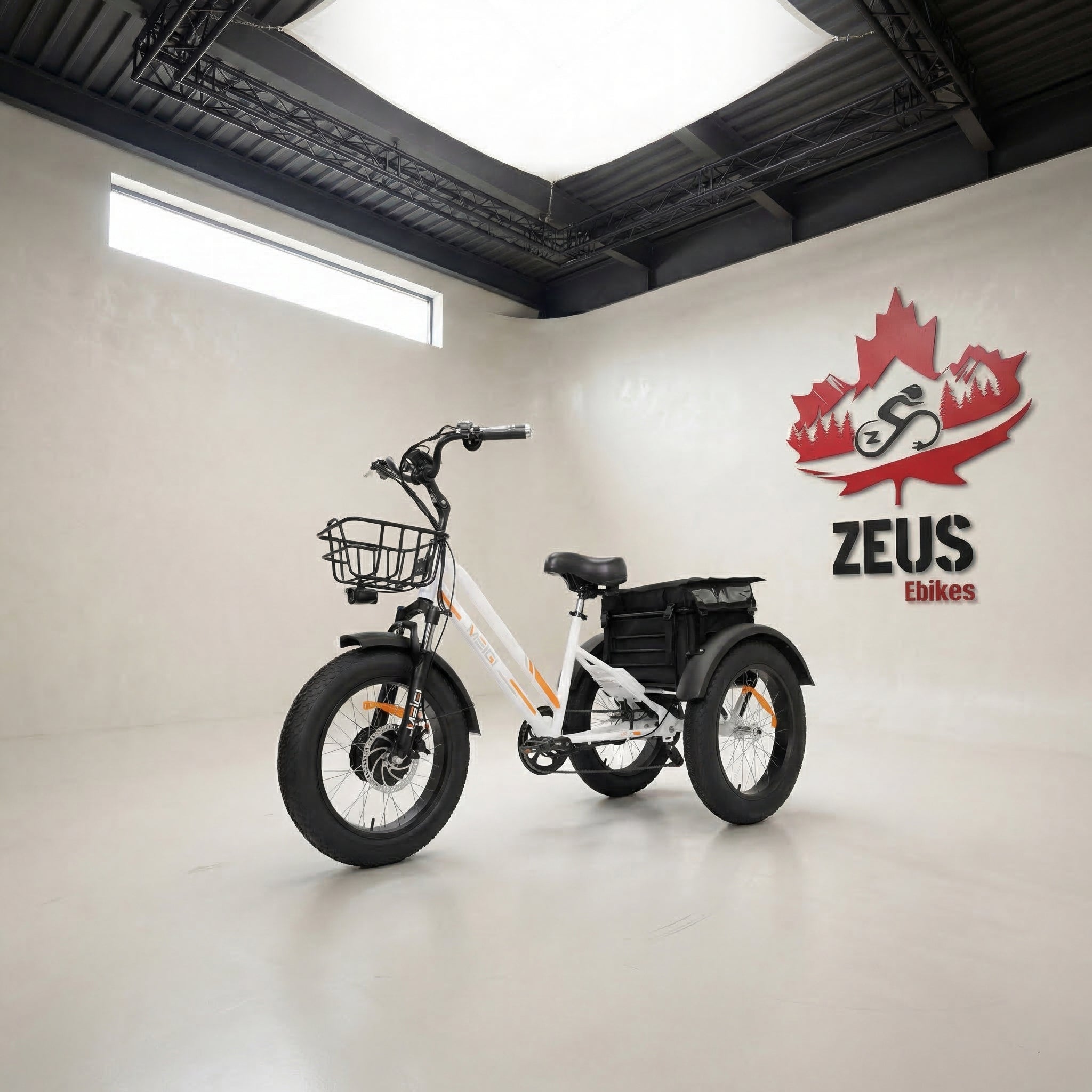 Meigi Zeus Fat Tire Electric Trike