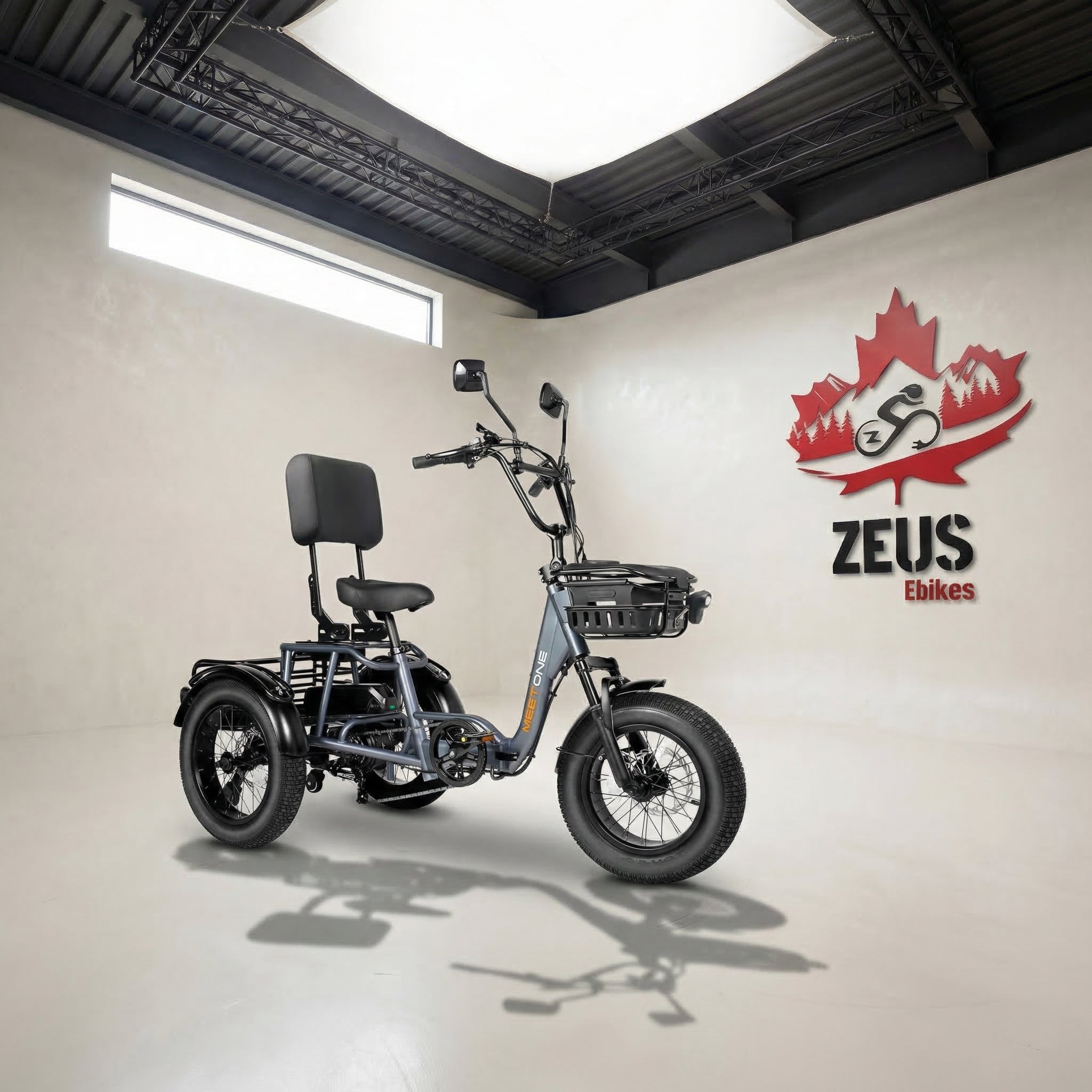 Meet One Breeze Folding Electric Trike – Zeus Ebikes Canada