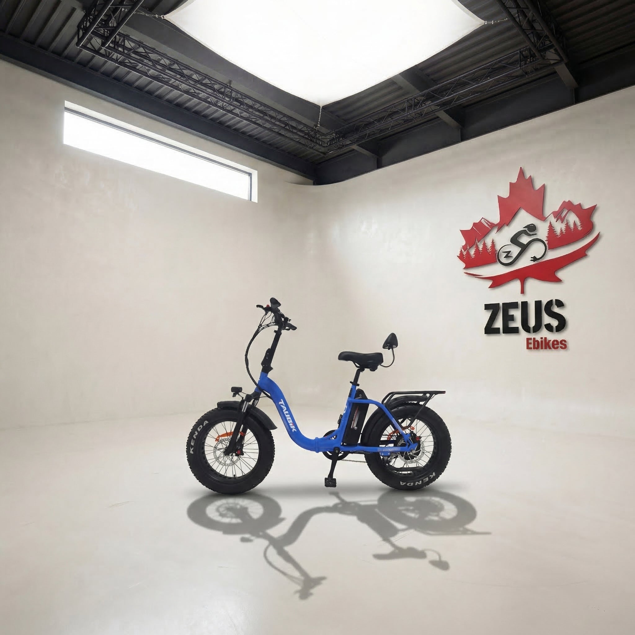 Taubik Escape Folding Ebike (Designed in Canada)