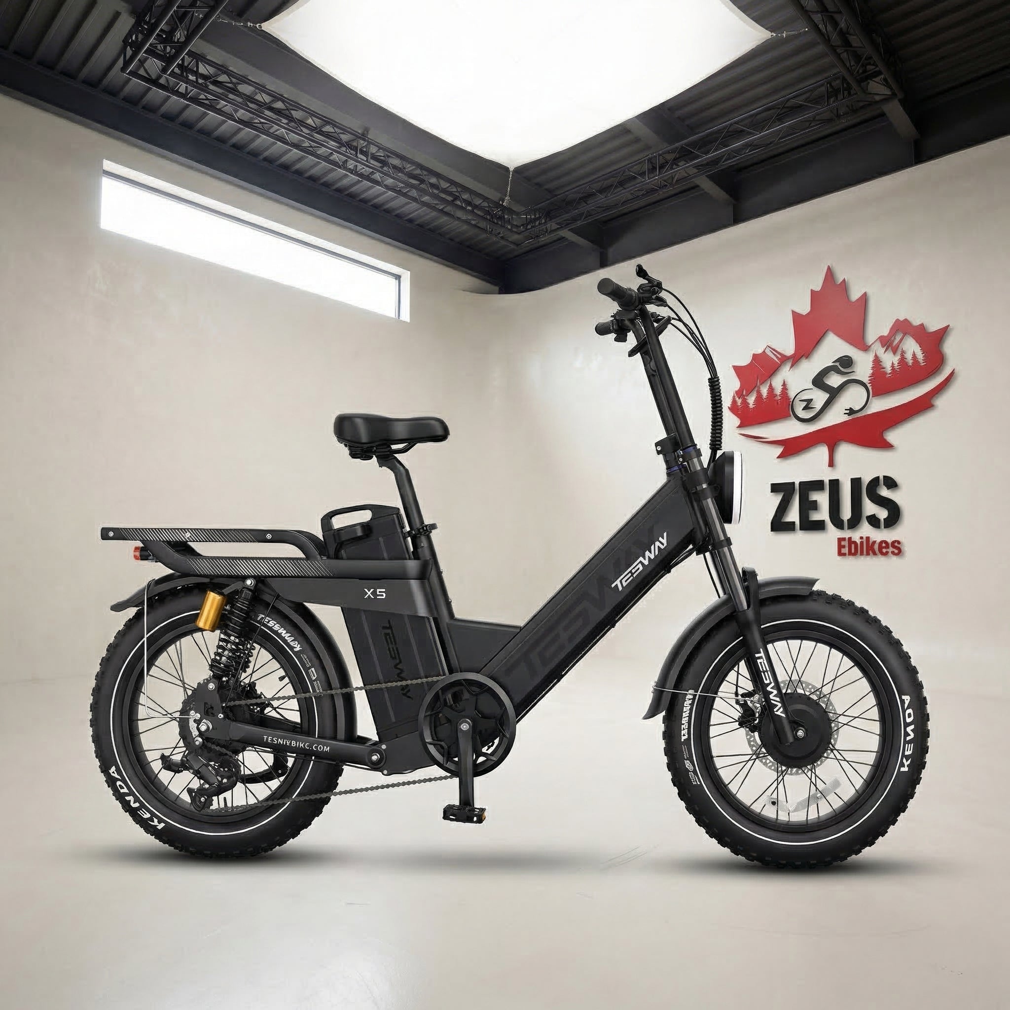 TESWAY X5 AWD Dual Motor Step-Thru Electric Bike (52V 60Ah, 3600W Peak)