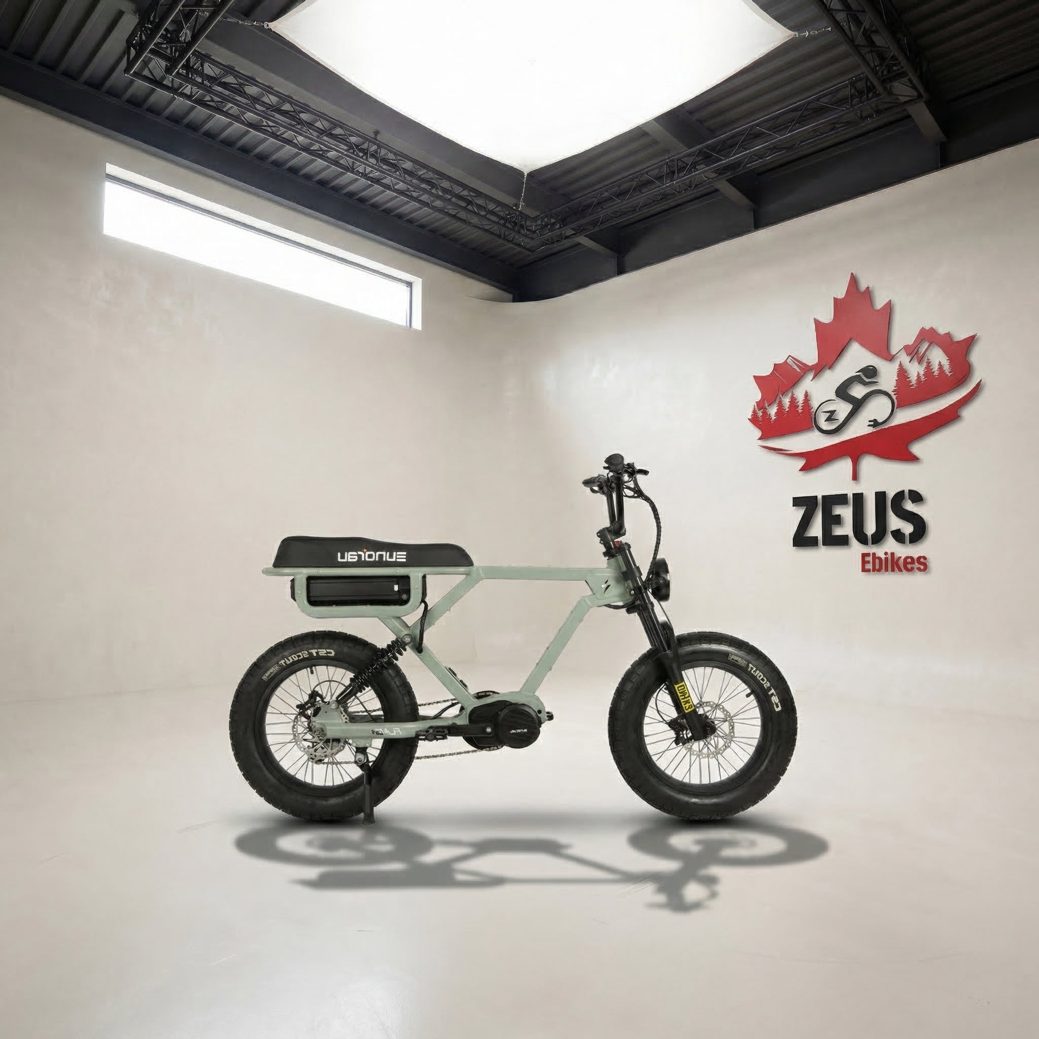 Eunorau Flash Ebike 1000W