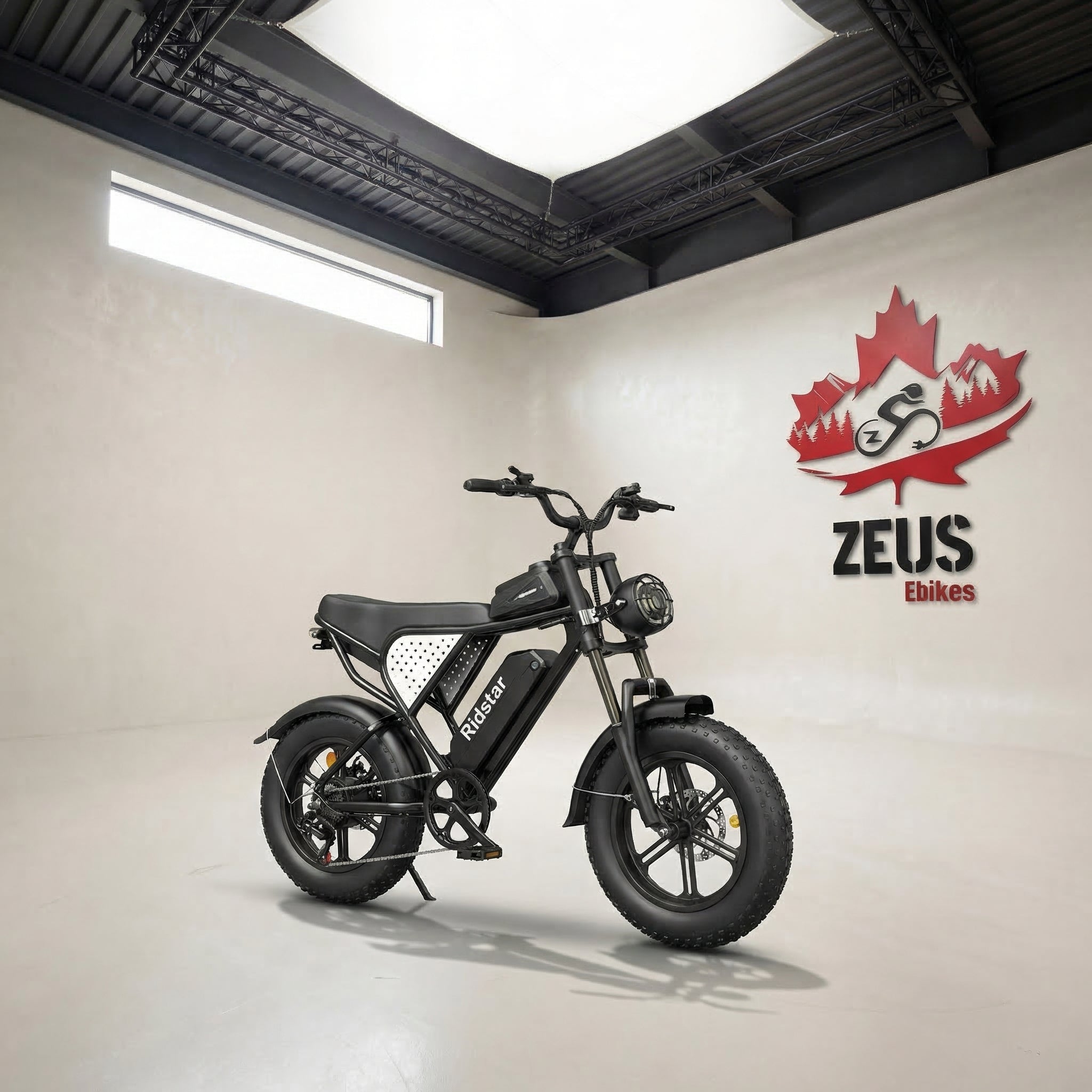 Ridstar Q16 1500W – Zeus Ebikes Canada