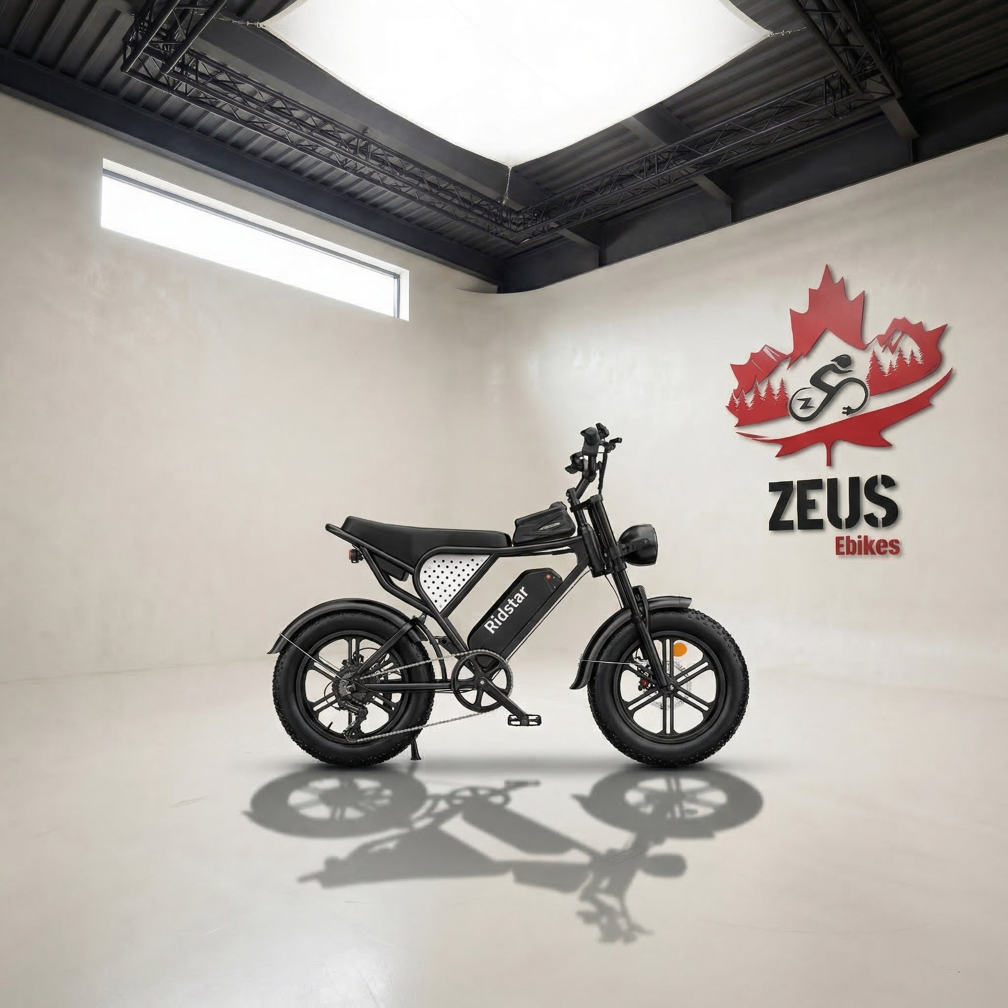 Ridstar Q16 1500W