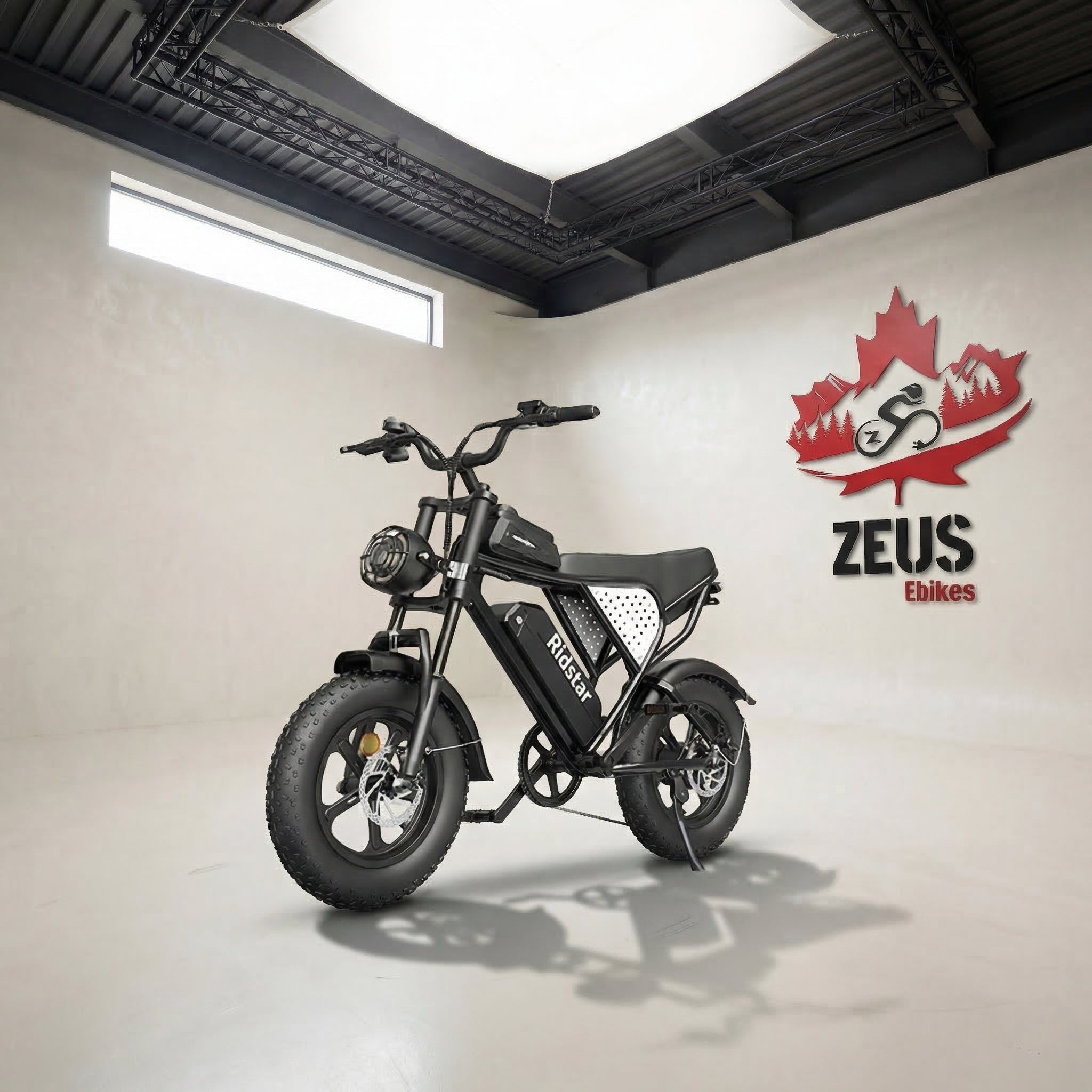 Ridstar Q16 1500W