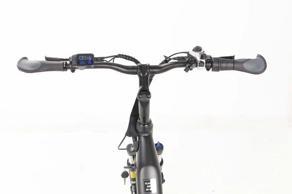 Tempo Commuter Ebike (Canadian)