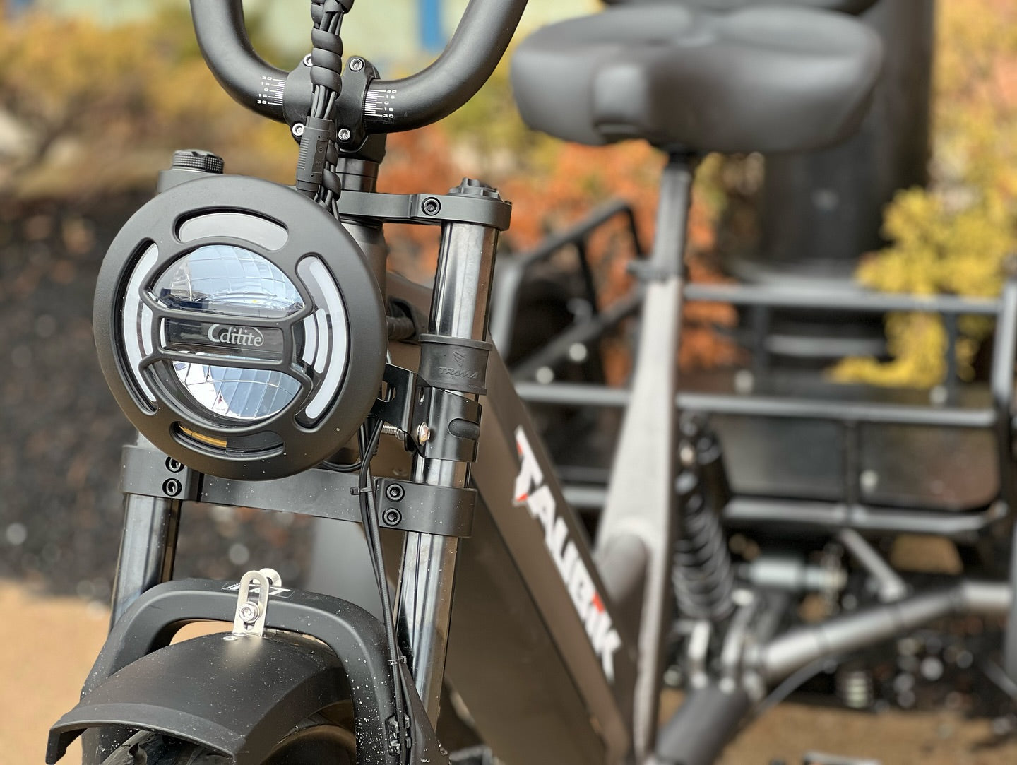 TAUBIK Pivot Electric Trike (48V 20Ah Samsung, Torque Sensor)