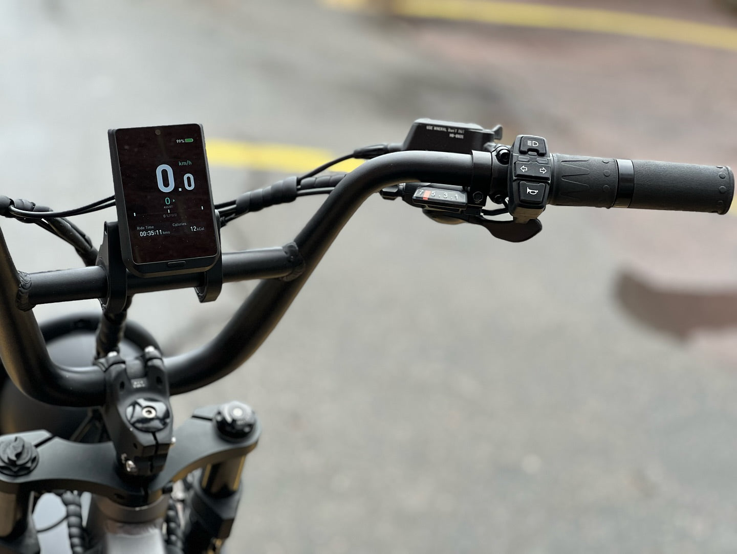 TAUBIK Pivot Electric Trike (48V 20Ah Samsung, Torque Sensor)