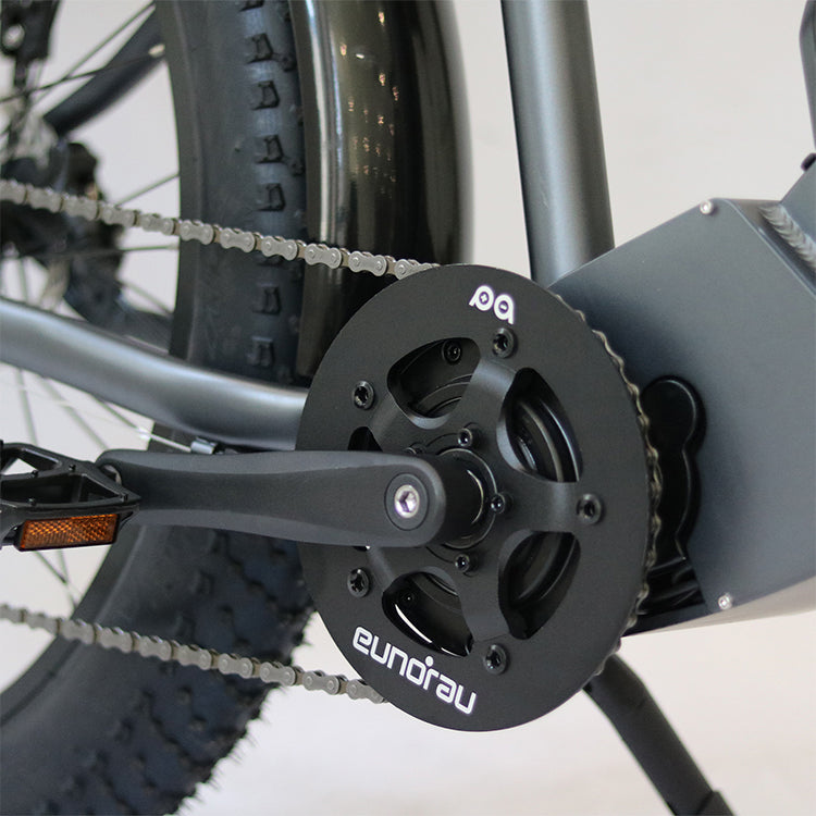 Eunorau Fat-HD 1500W Mid-Drive Ebike