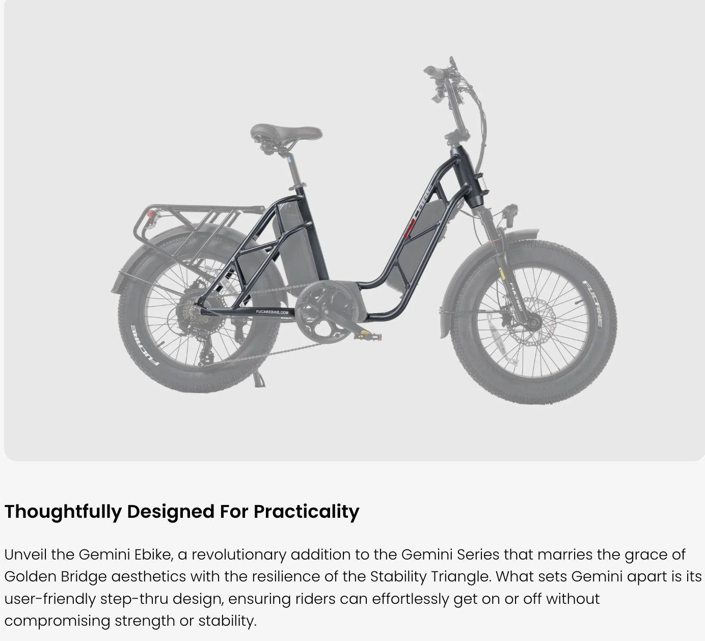 Fucare Gemini Dual Battery 1000W Ebike (Pre-Order, clearing customs now)