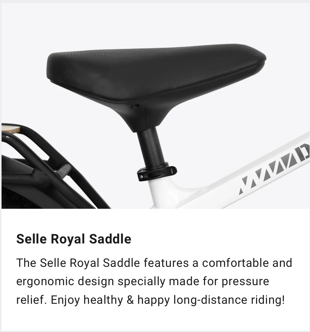 Himiway Zebra D5 Updated Version