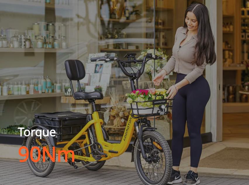 CITYTRI E-310 Electric Trike ( Back in Stock)