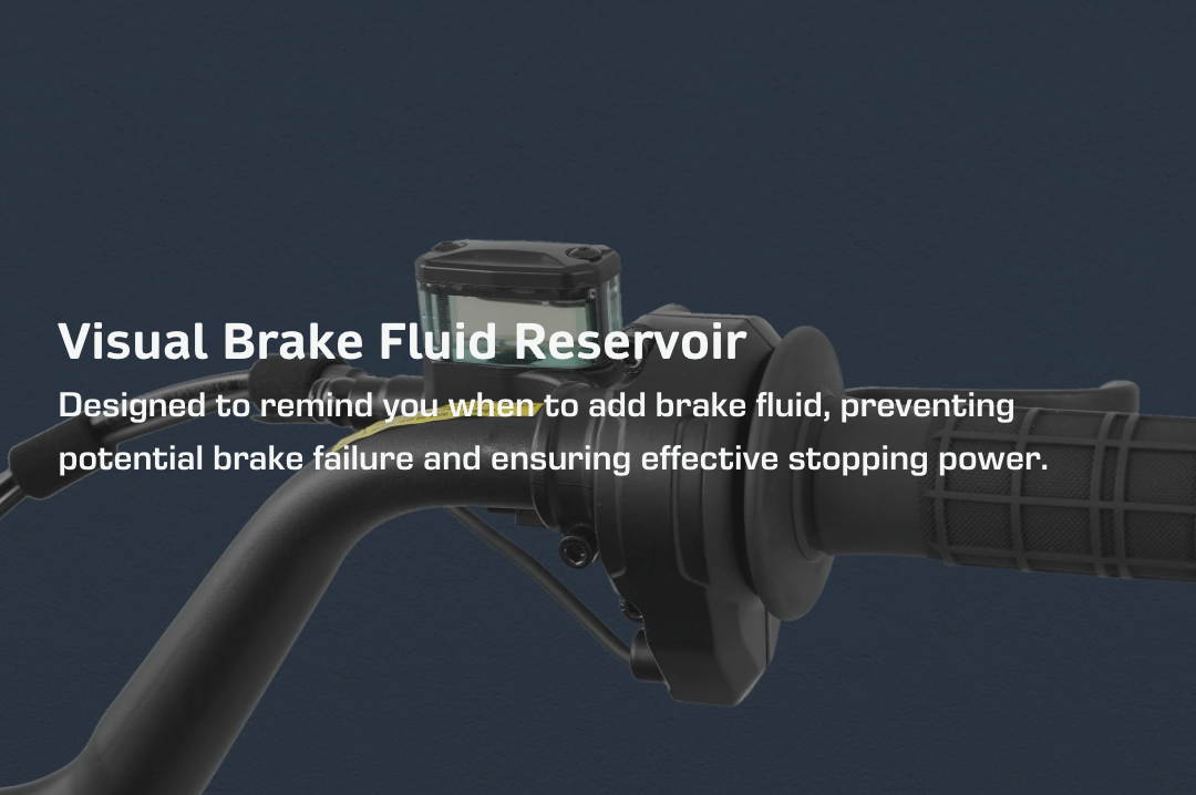 Eahora DL2000 Dual Motor Moped-Style Electric Bike (52V 30Ah)