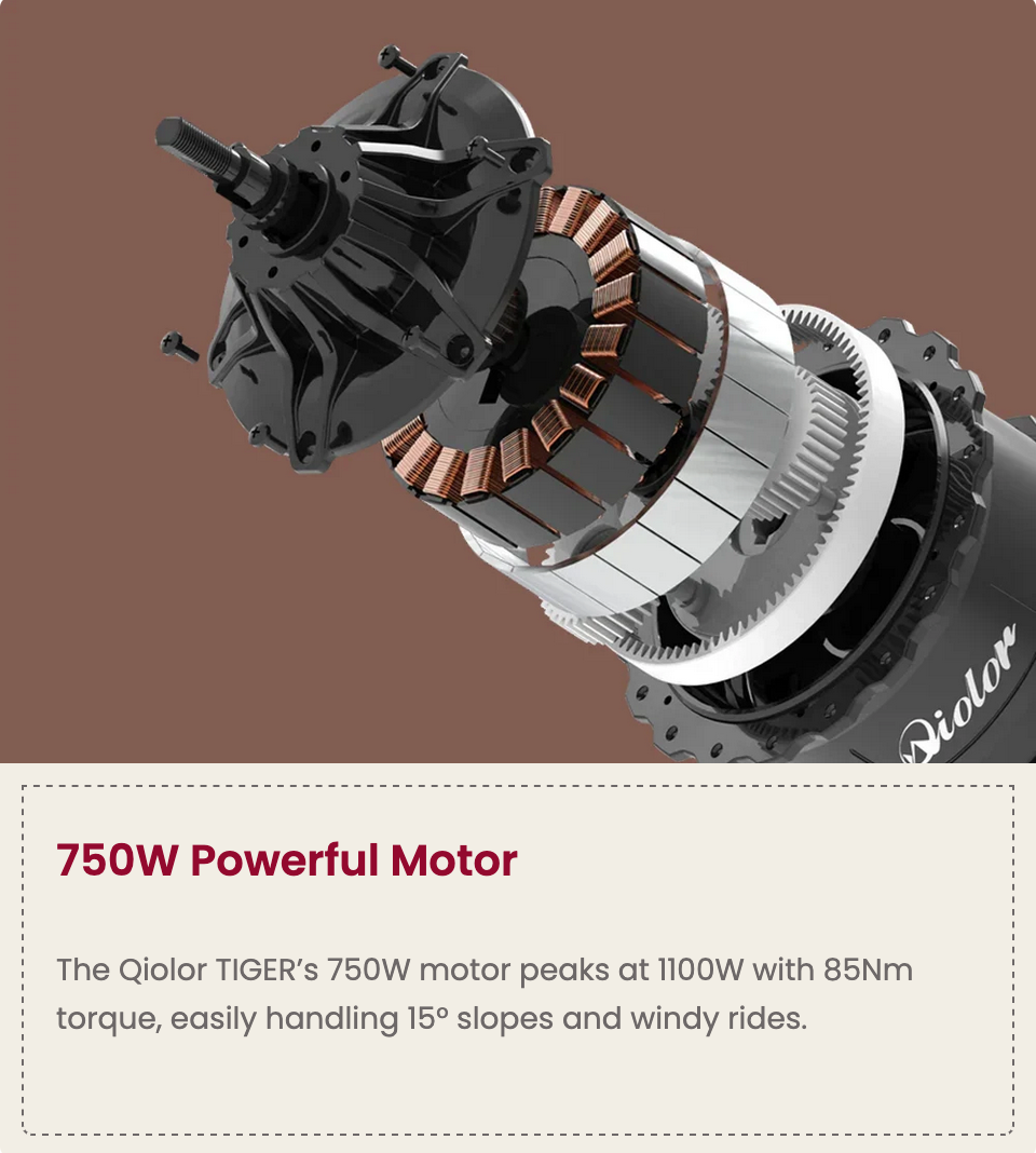 Vtuvia TIGER PLUS Full Suspension Fat Tire Ebike