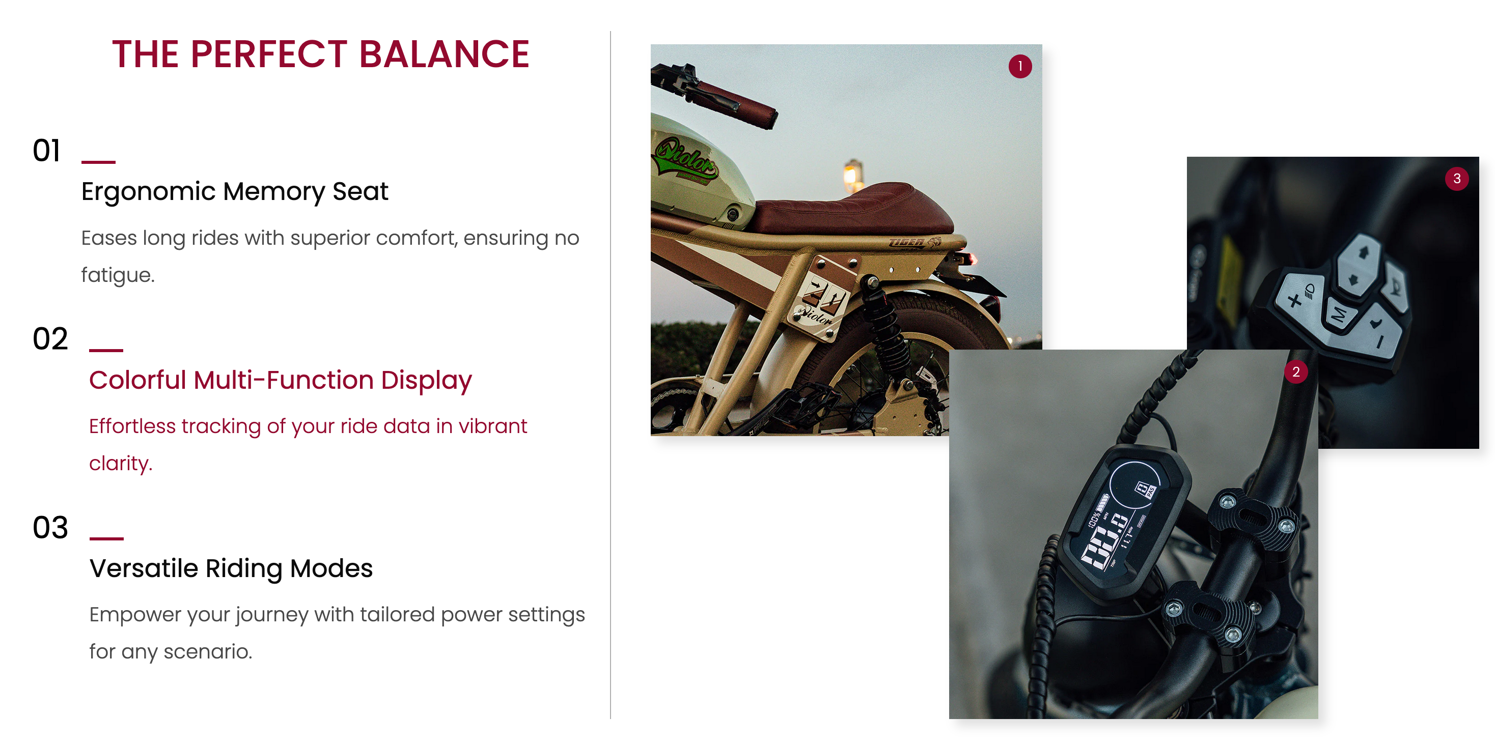 Vtuvia TIGER PLUS Full Suspension Fat Tire Ebike