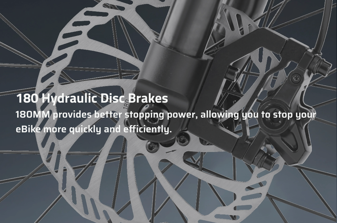 Eahora FT-01 Max 2025 Moped-Style Electric Bike (48V 30Ah, 500W, Hydraulic Brakes)