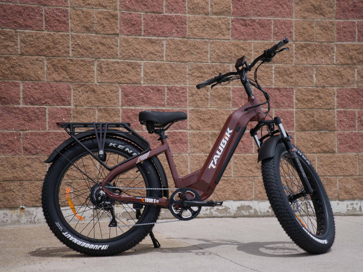 Taubik Tour S in Burnt Copper, side view beside a brick wall, Taubik photo