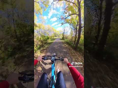 Himiway Zebra D5 Updated Version