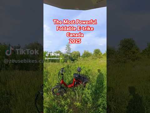 Load video: CITYTRI E-310 Electric Trike ( Back in Stock)