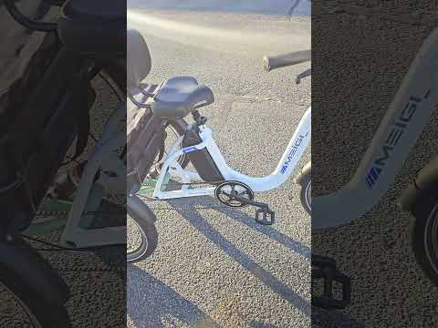 Meigi Blazer 750W Electric Trike