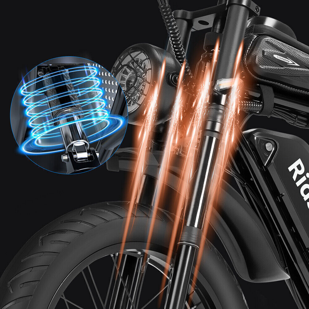 Ridstar Q20 Pro Dual Motor 2000W Retro Ebike