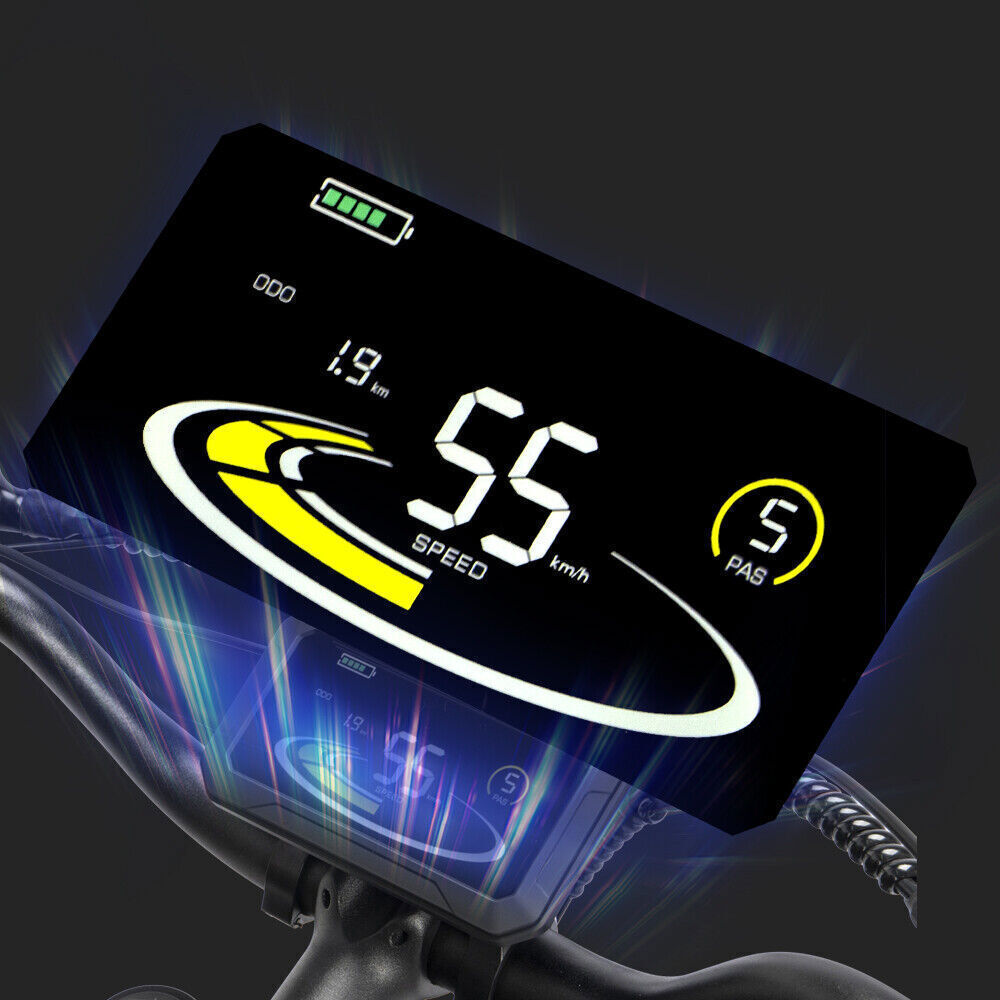 Ridstar Q20 Pro Dual Motor 2000W Retro Ebike