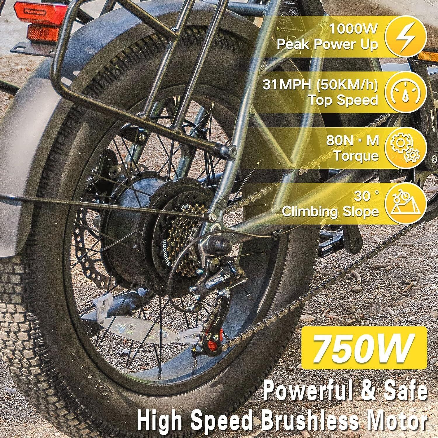 Fucare Gemini Dual Battery 1000W Ebike (Pre-Order, clearing customs now)