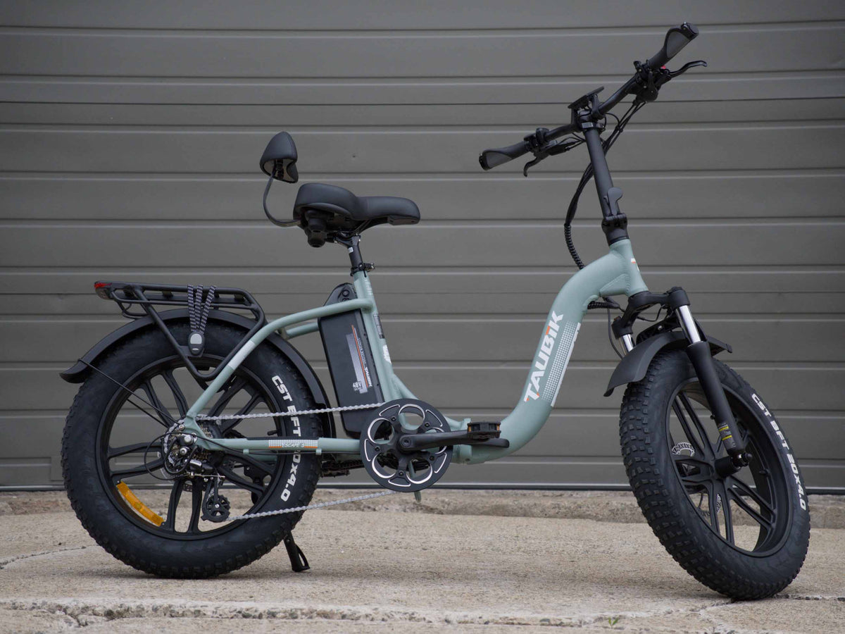 Taubik Escape S in Matte Sage Green, side view with rear rack and CST BFT fat tires