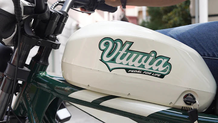 Vtuvia Tiger 35AH Battery