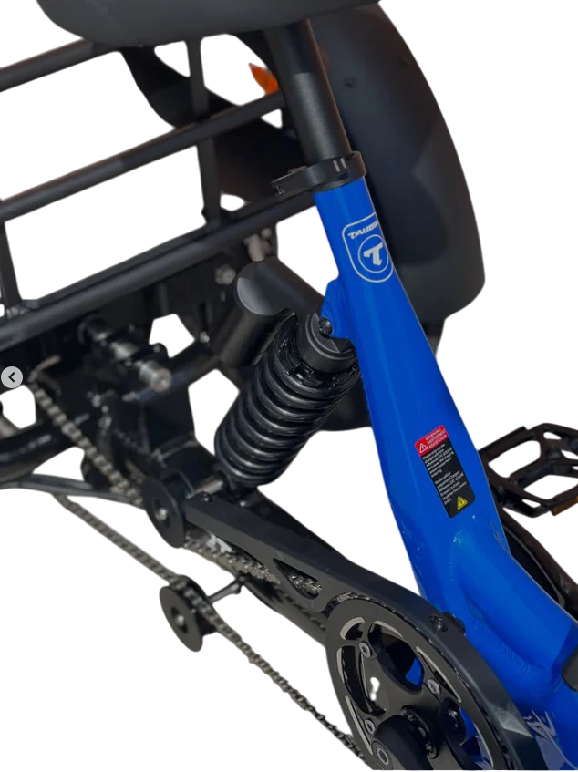TAUBIK Pivot Electric Trike (48V 20Ah Samsung, Torque Sensor)