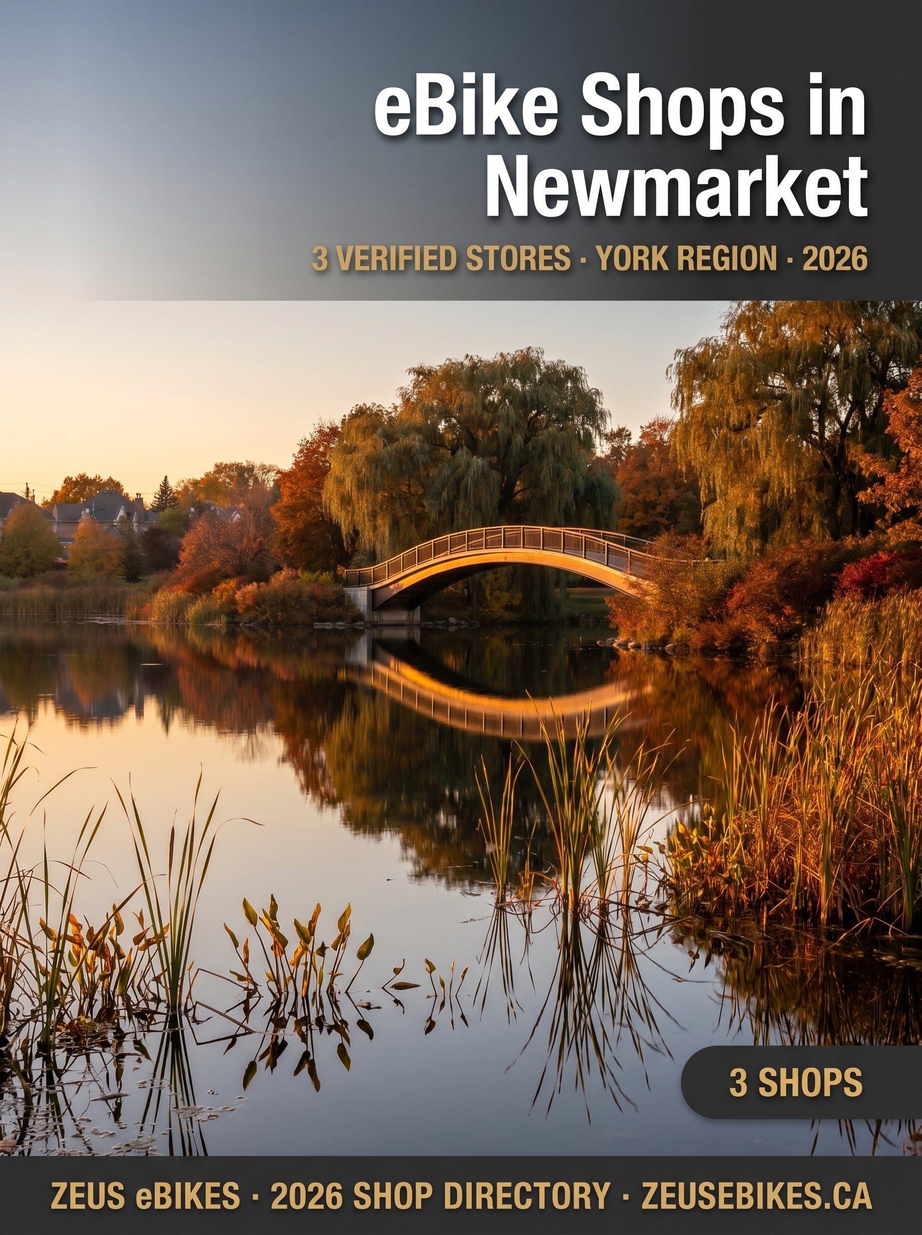 eBike shops in Newmarket — Zeus eBikes Canadian eBike Directory 2026