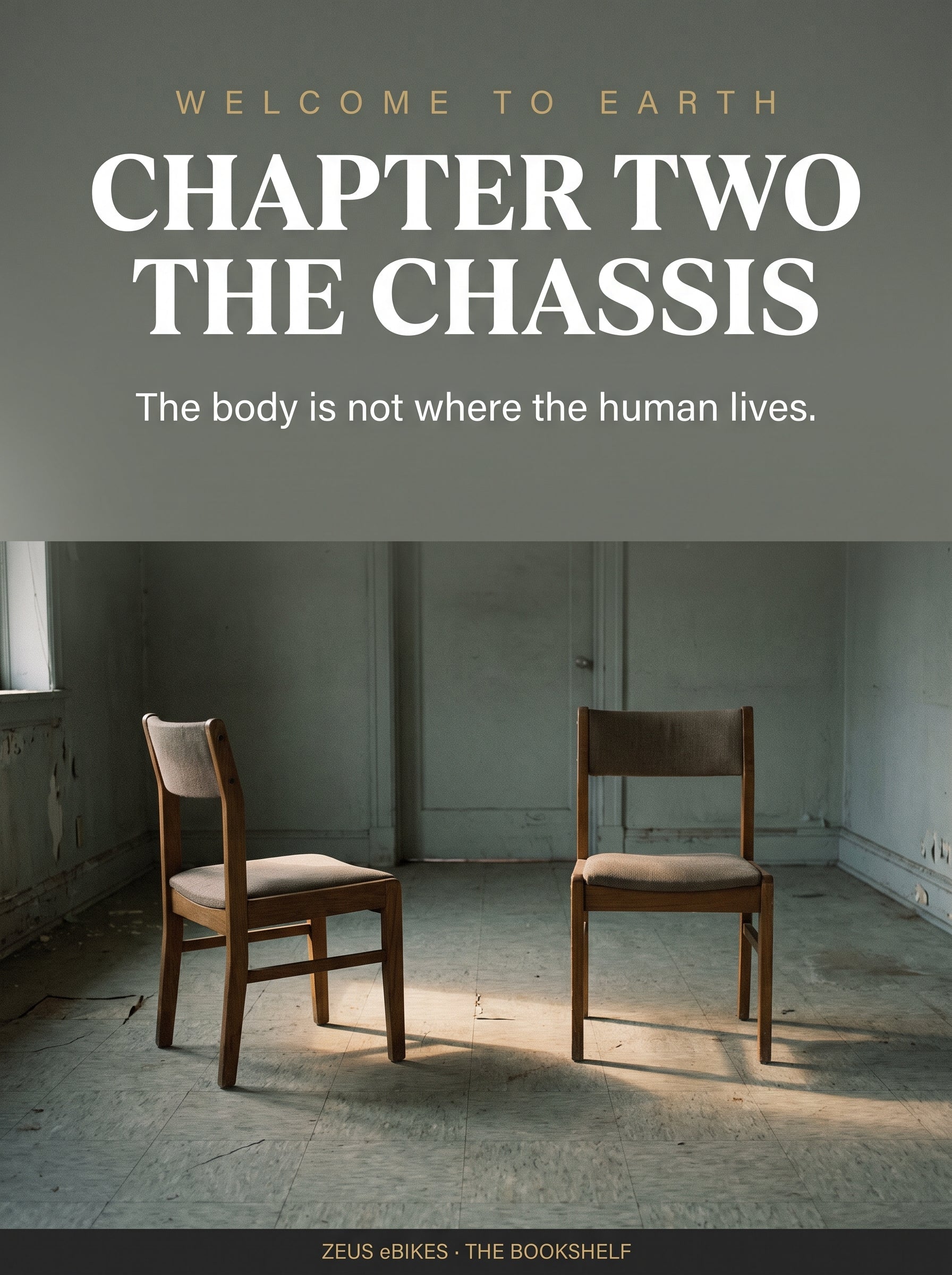 An empty clinic consulting room at dusk, two chairs facing each other, one shaft of light across the floor