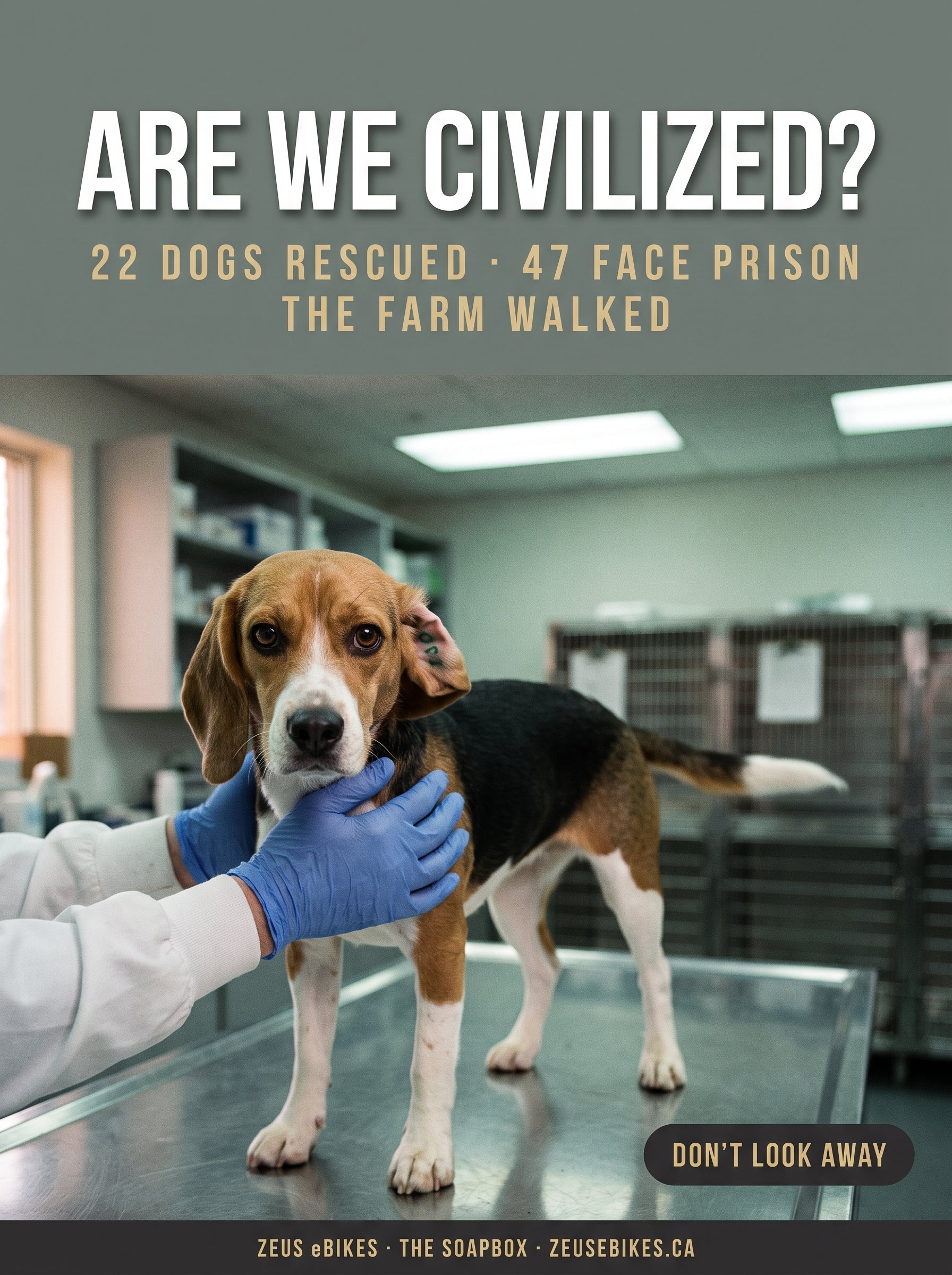 Photo illustration: portrait cover of a beagle held on a laboratory table, headline Are We Civilized