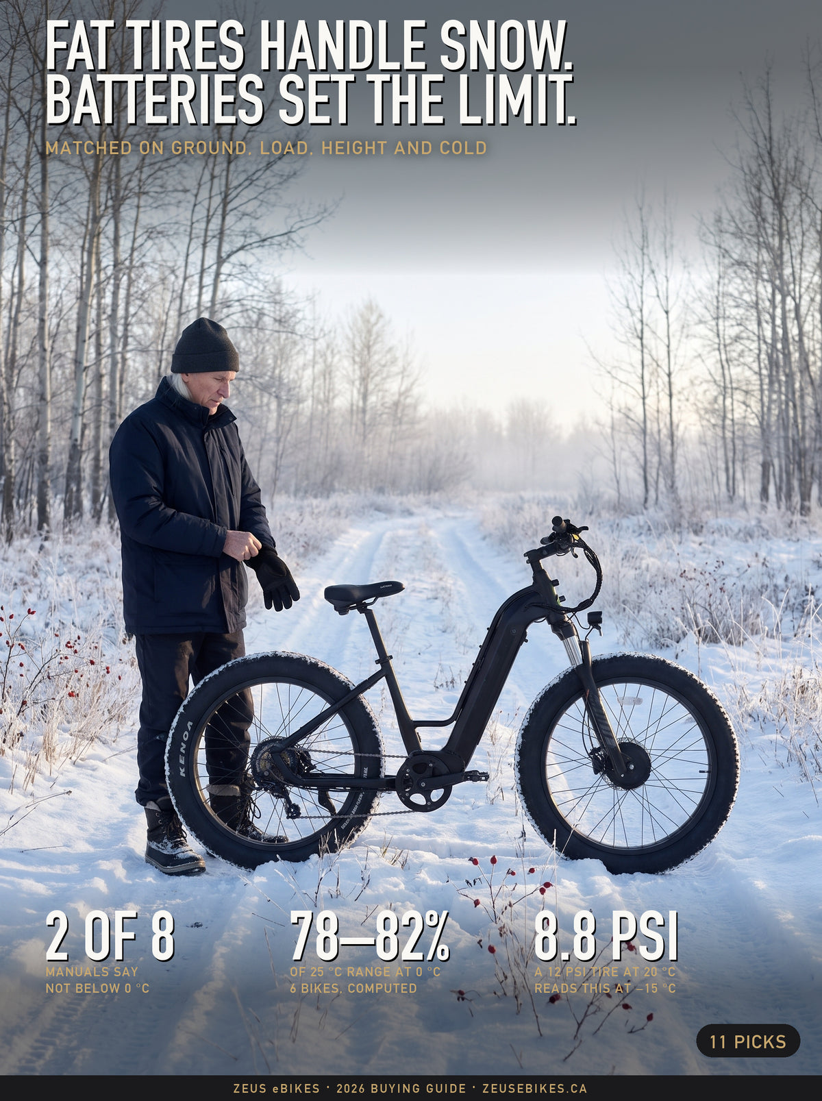 Zeus stands behind a black Eunorau FAT-AWD 3.0 fat tire e-bike on a snow-covered two-track among bare aspens, a Playcut rendering made from Eunorau’s own photograph of the bike