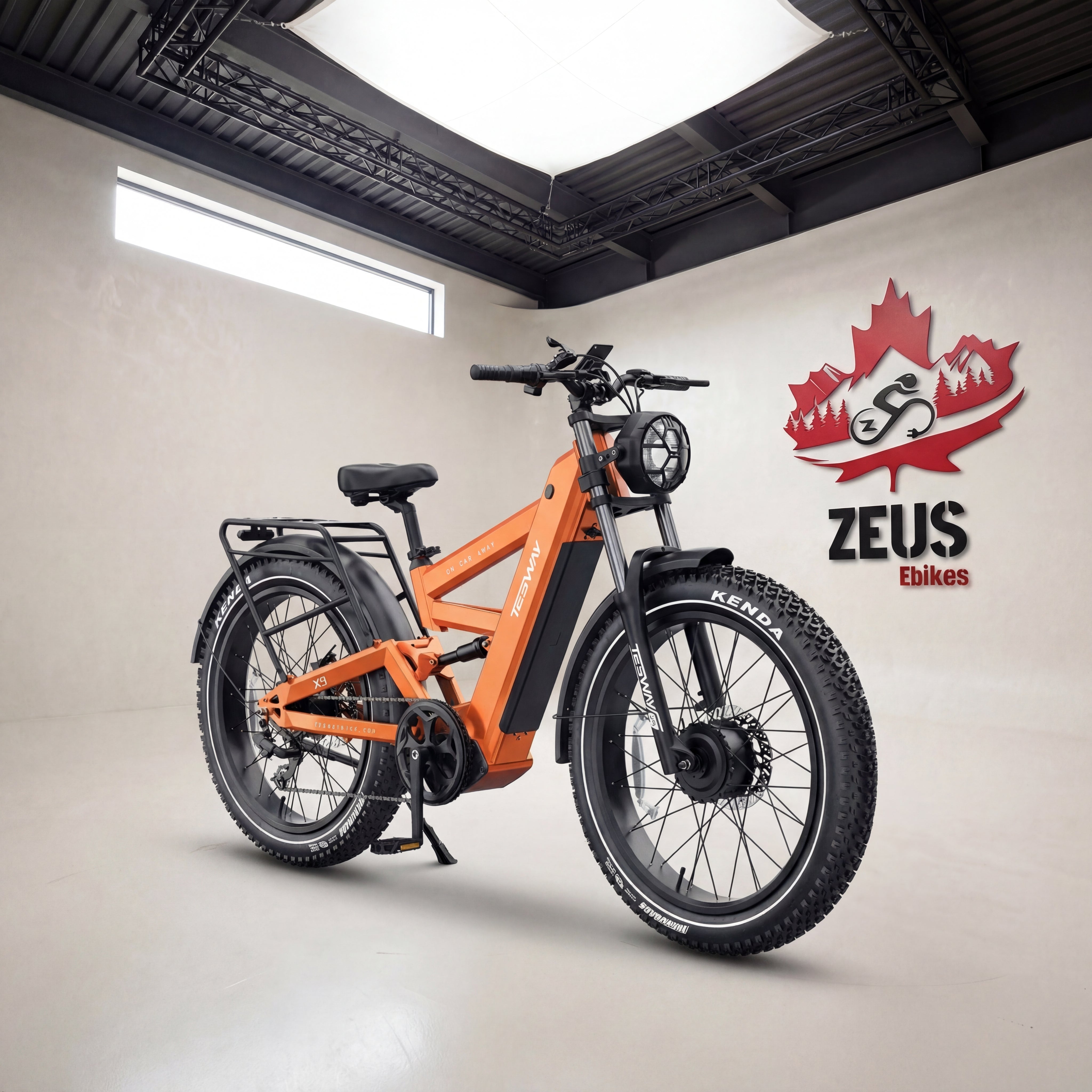 Tesway Electric Bikes