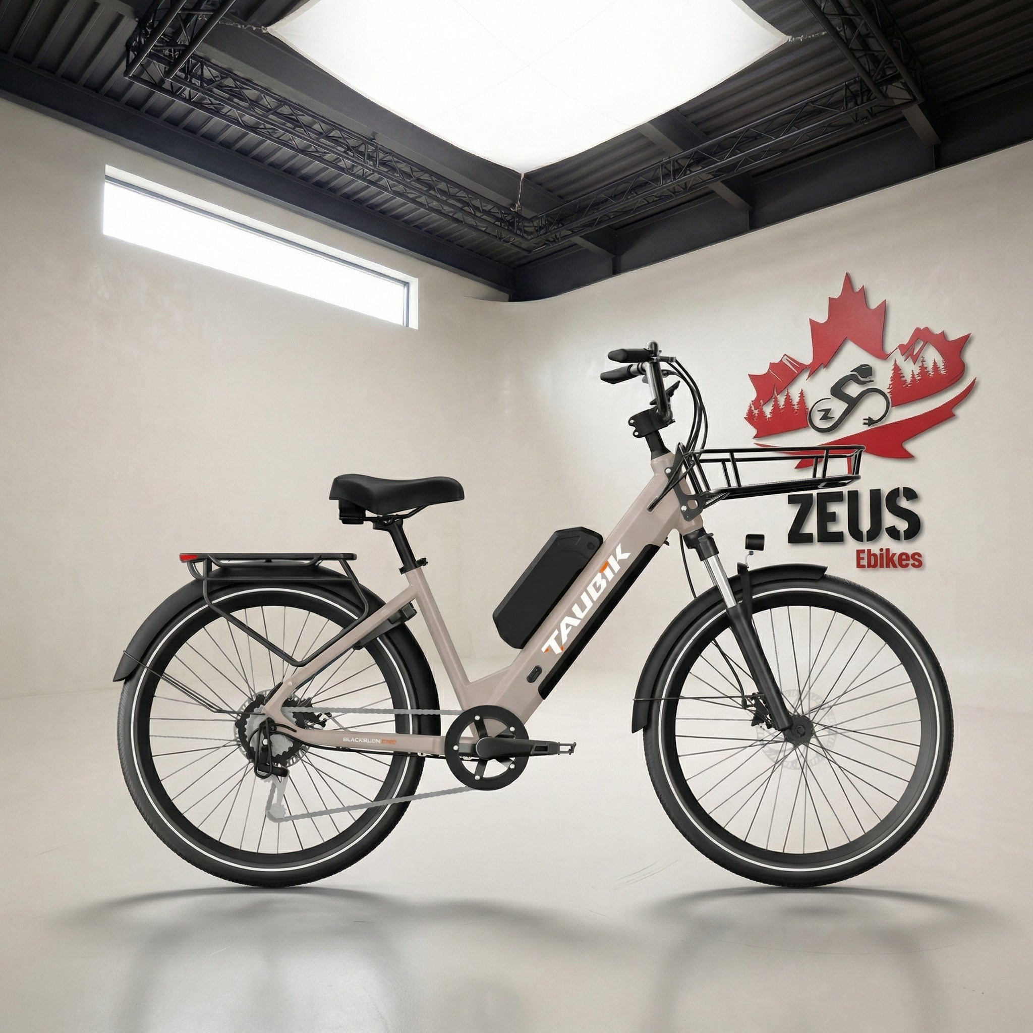 Dual Battery Electric Bikes