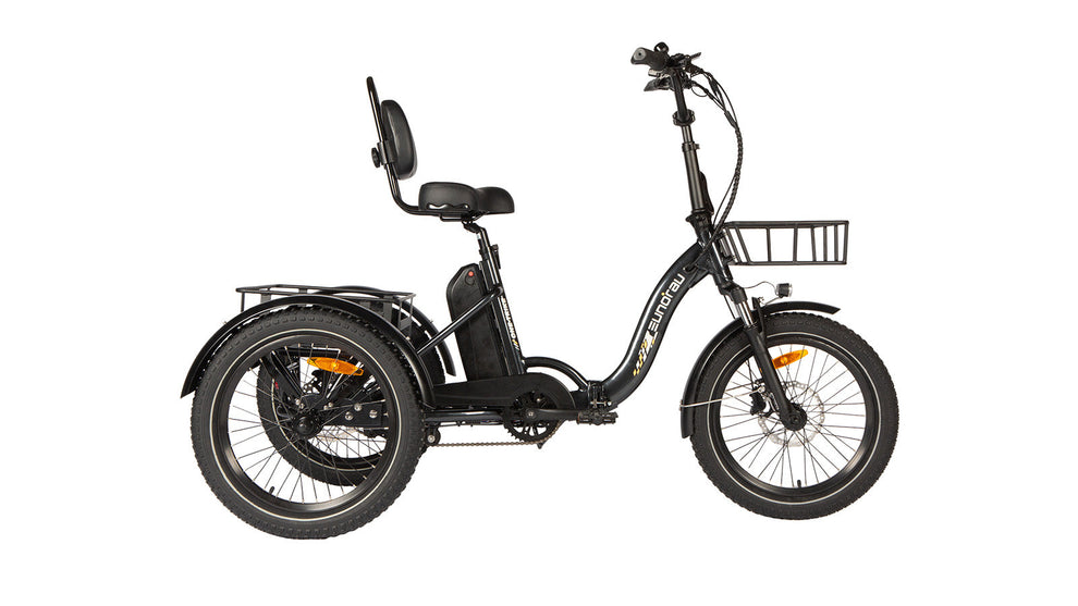 ONE-TRIKE 500W Electric tricycle